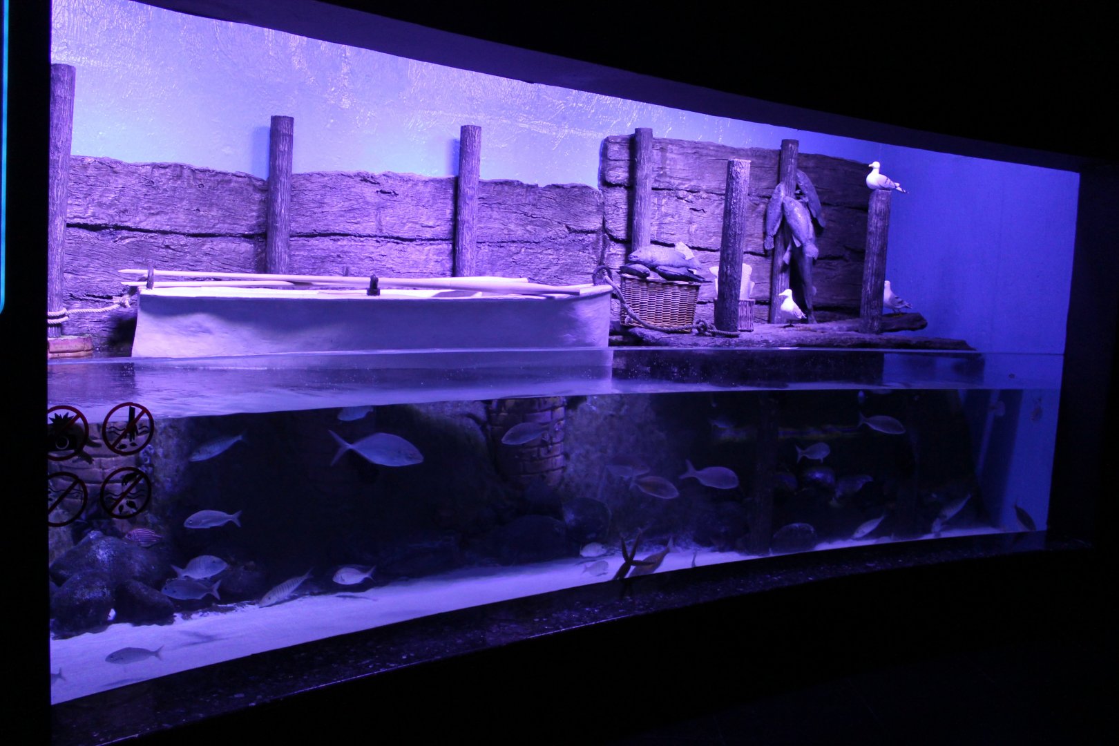 Demre harbour aquarium