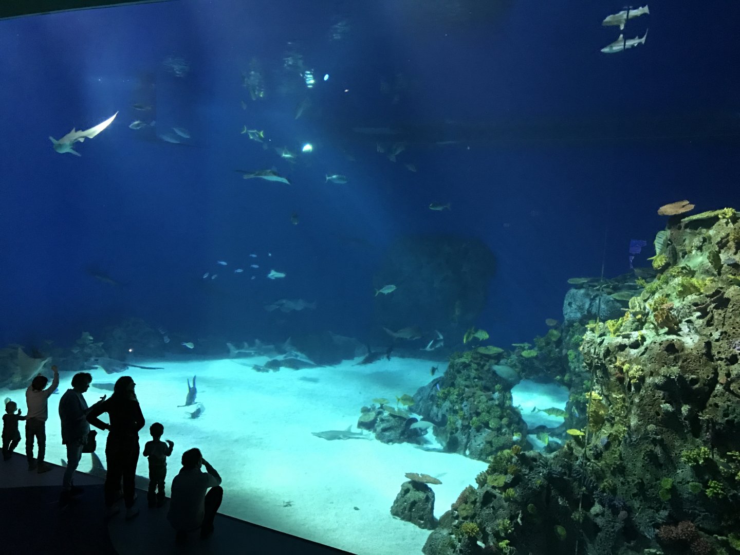 Den Blå Planet - 20/2/17