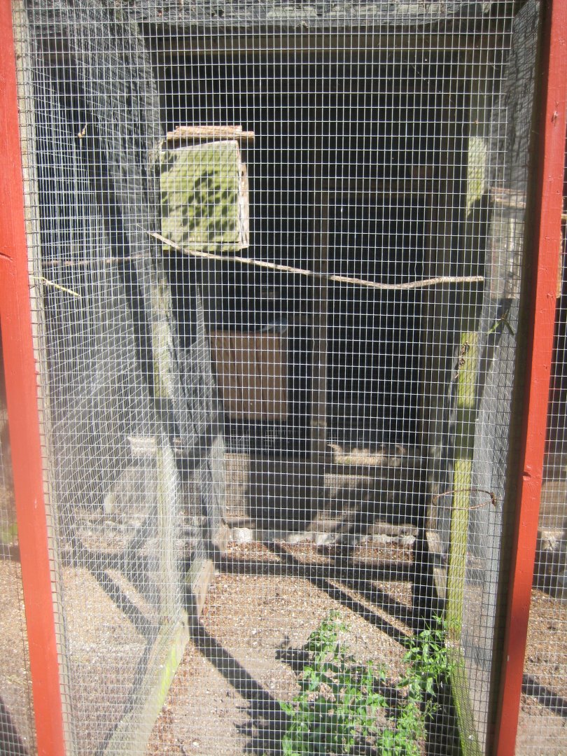Den Jydske Rosenpark - Dove aviary