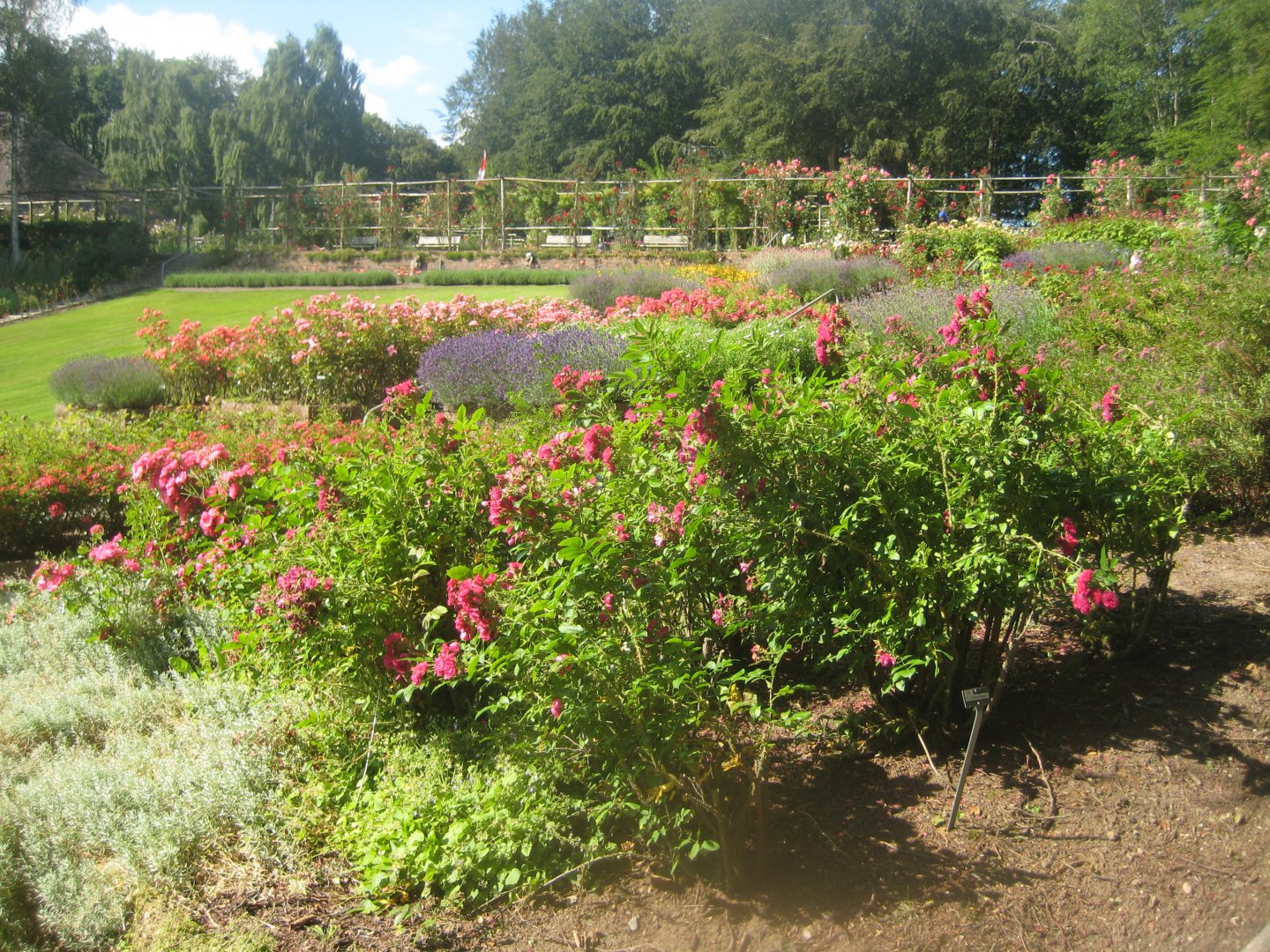 Den Jydske Rosenpark - General view