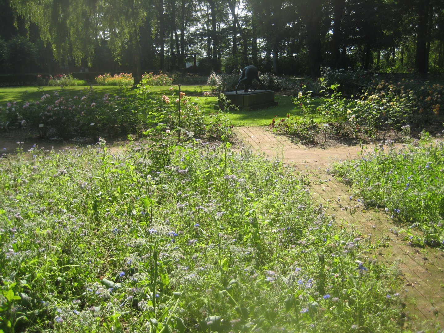 Den Jydske Rosenpark - General view