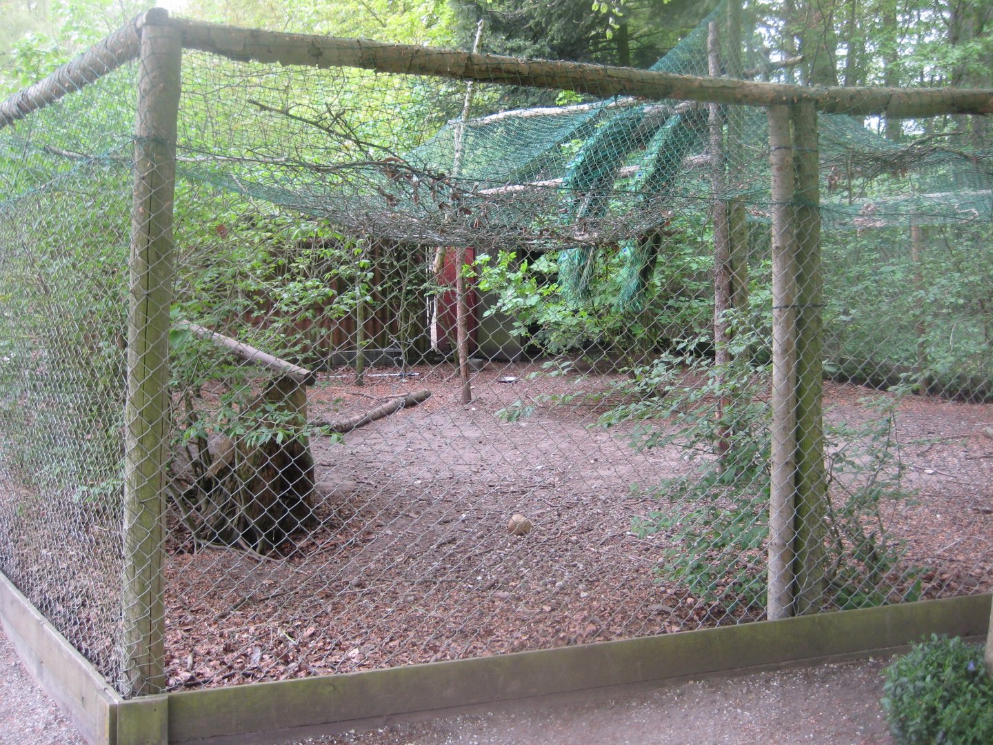 Den Jydske Rosenpark - Peafowl aviary