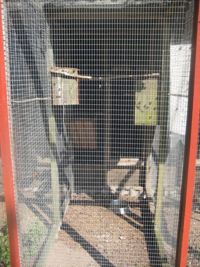 Den Jydske Rosenpark - Rosella aviary