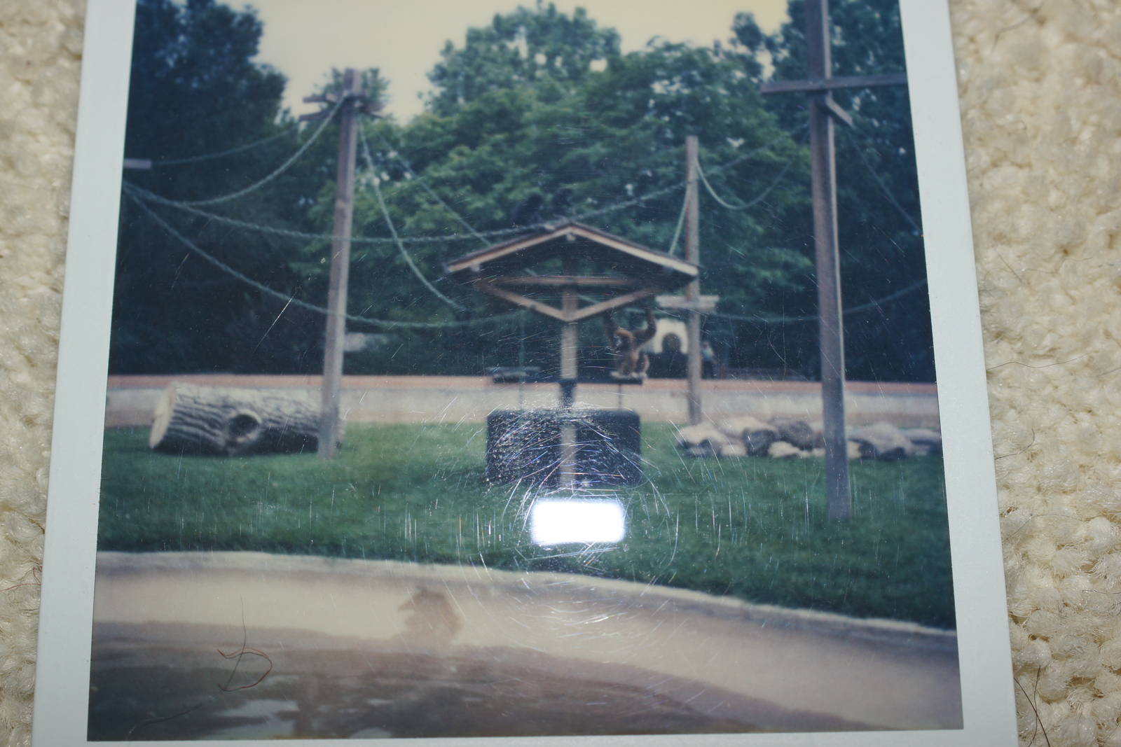 Denver Zoo - 1982