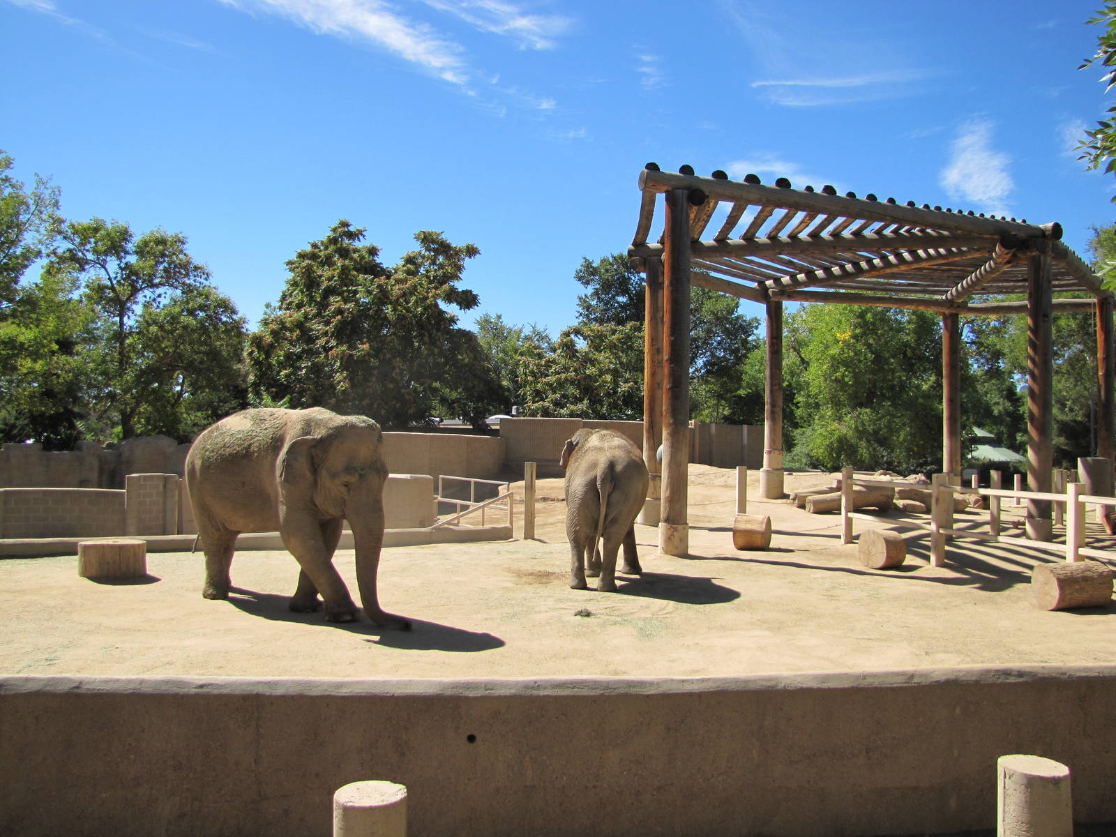 Denver Zoo 2010 - Asiatic Elephant exhibit