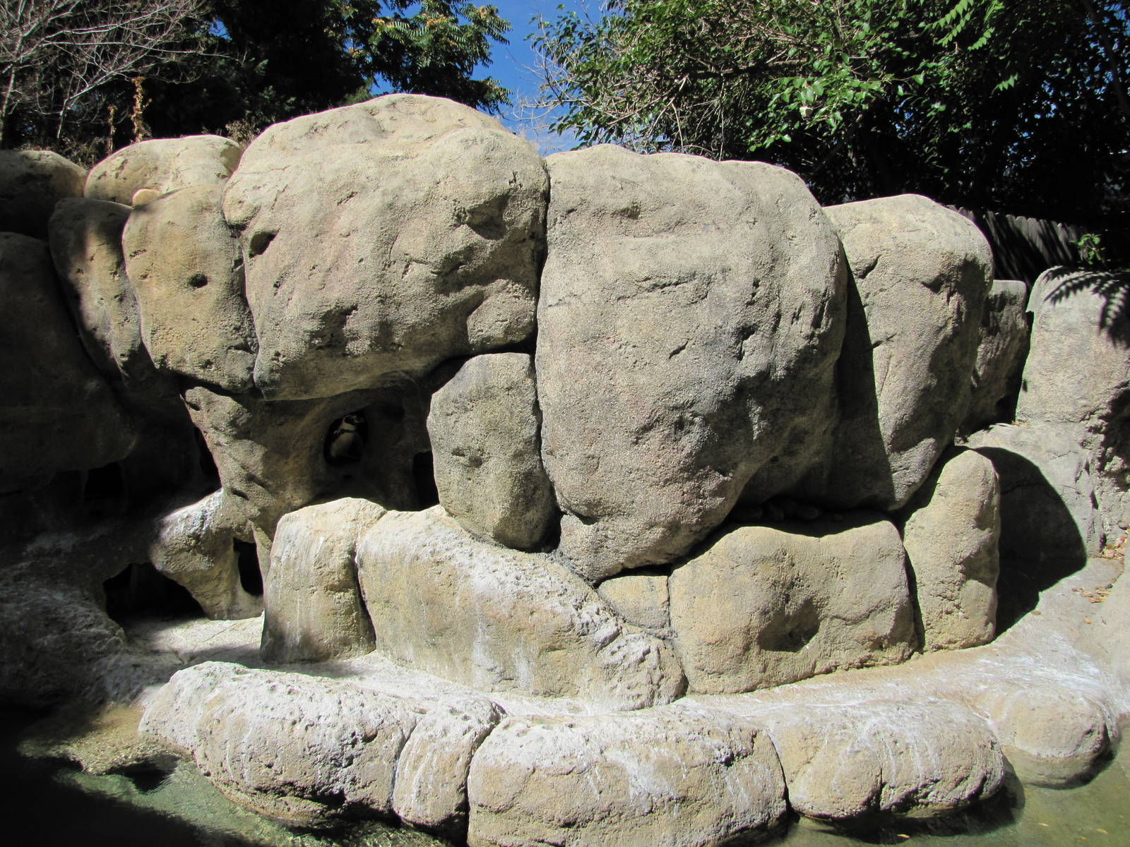 Denver Zoo 2010 - Center of the Humboldt Penguin exhibit