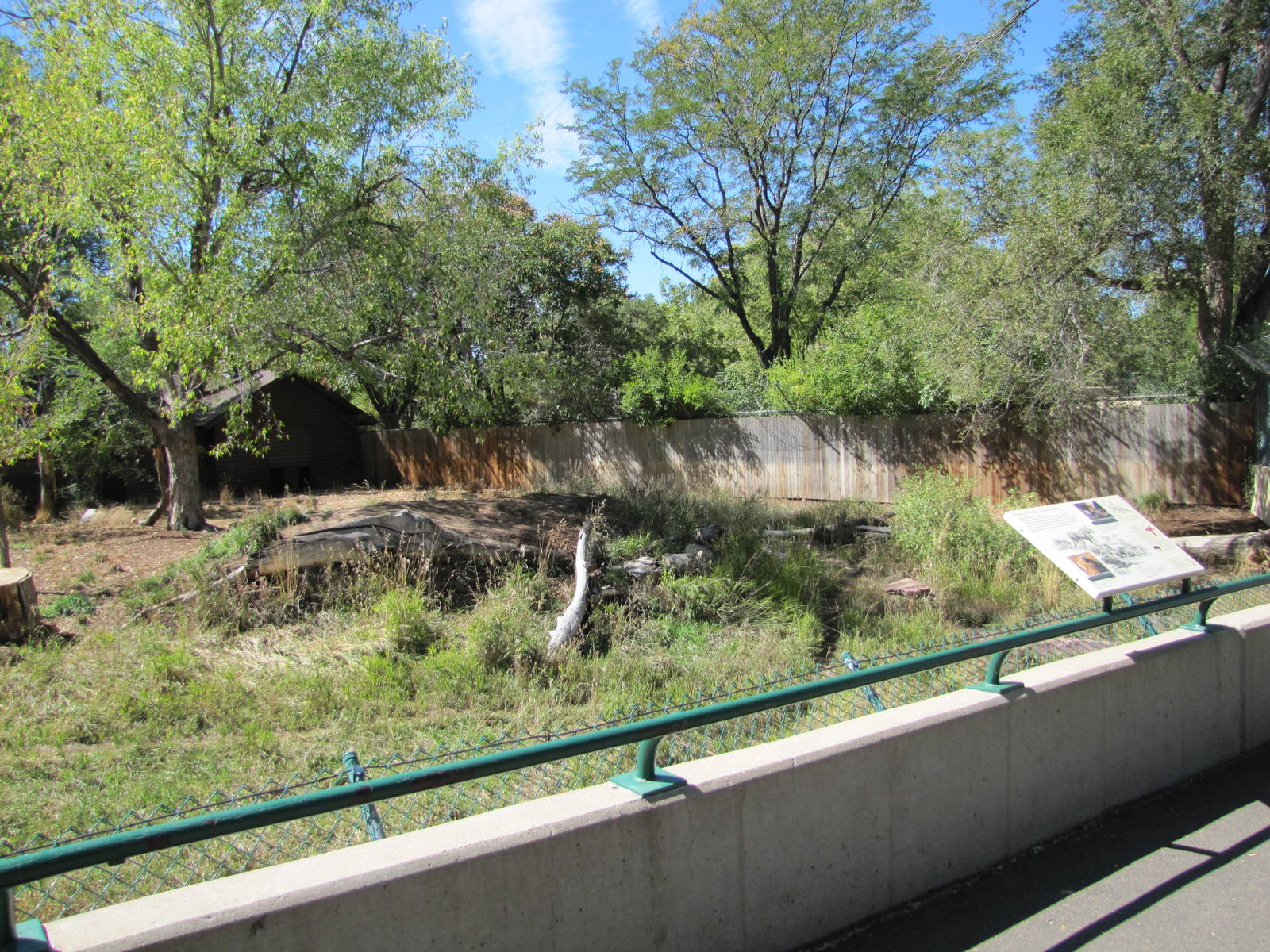 Denver Zoo 2010 - Cheetah exhibit