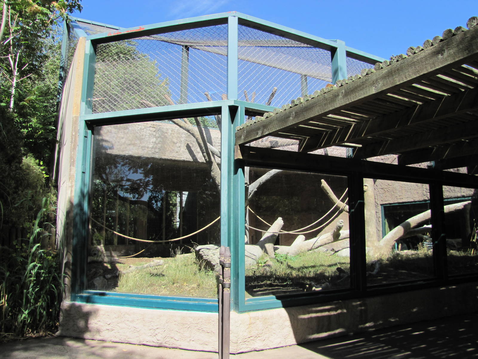 Denver Zoo 2010 - Exhibit in Primate Panorama