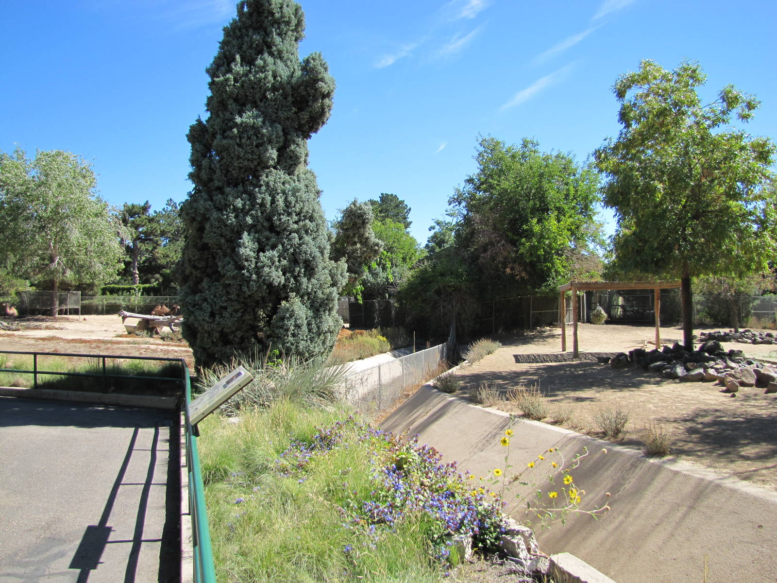 Denver Zoo 2010 - Exhibits meet