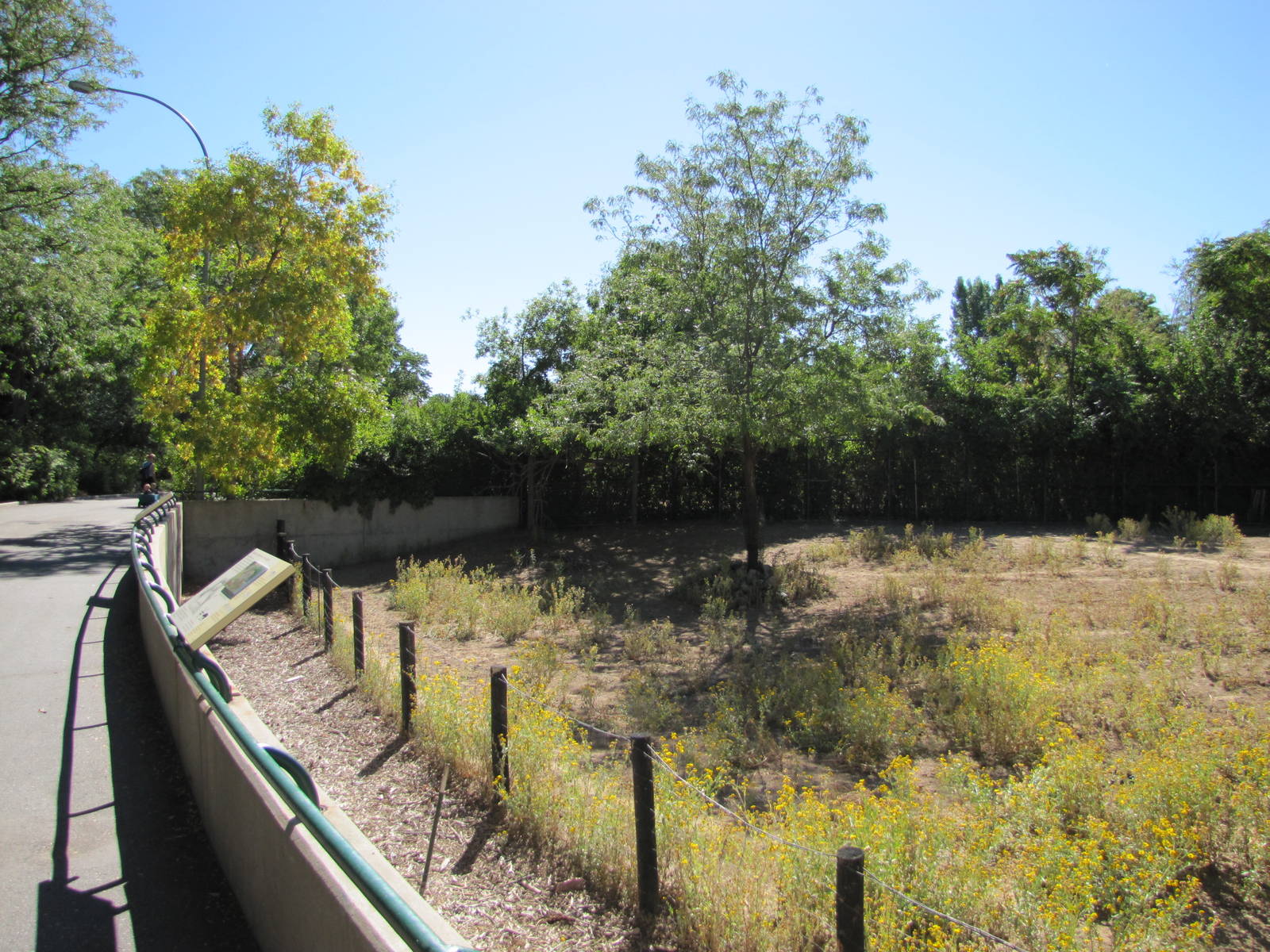 Denver Zoo 2010 - Front of Grevys Zebra exhibit