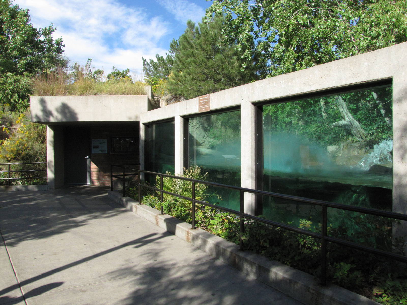 Denver Zoo 2010 - Front of North American River Otter exhibit