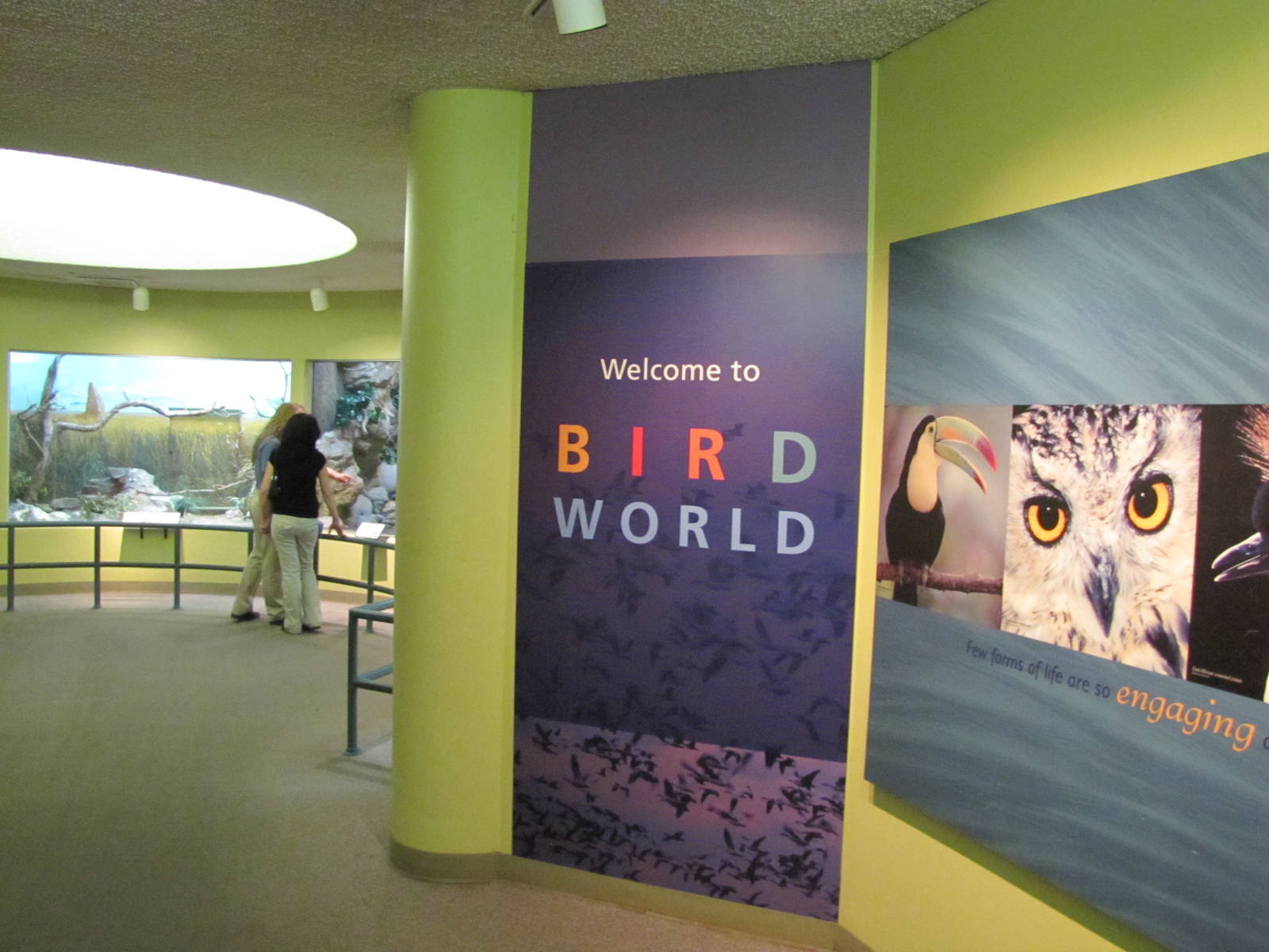 Denver Zoo 2010 - General view inside Bird World