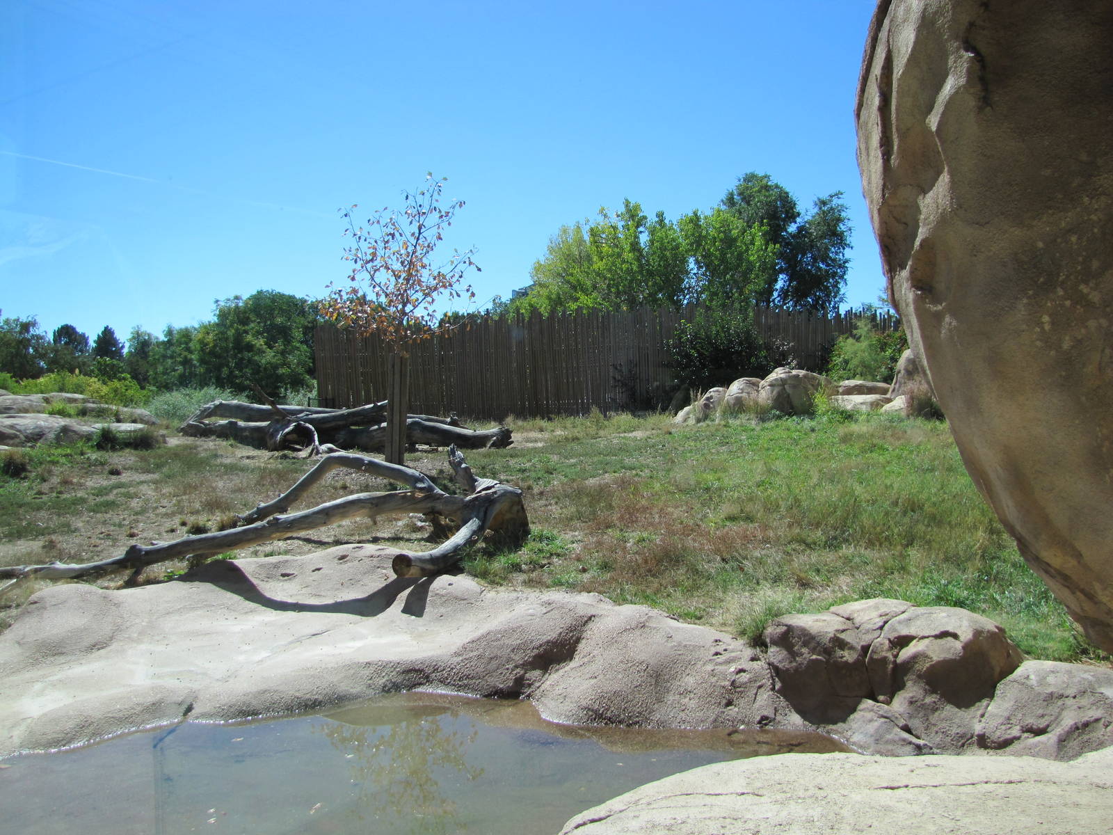 Denver Zoo 2010 - General view of Predator Ridge