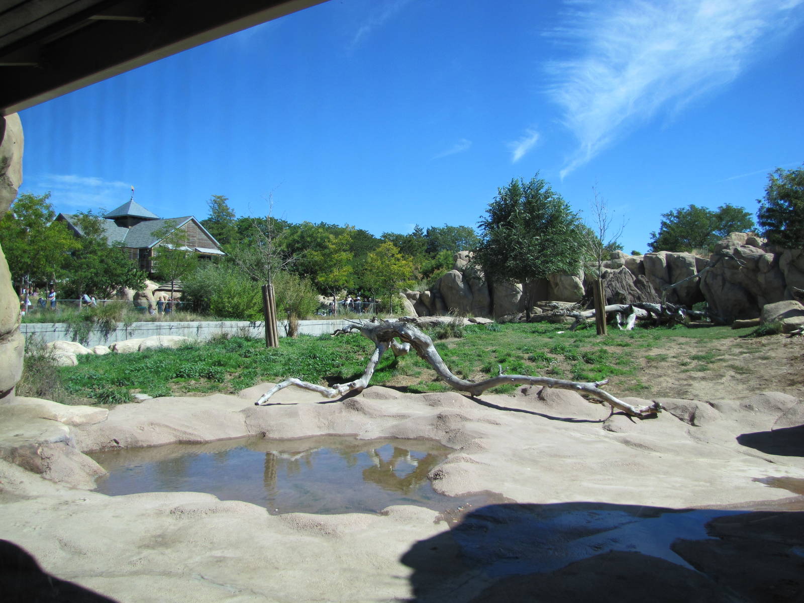 Denver Zoo 2010 - General view of Predator Ridge