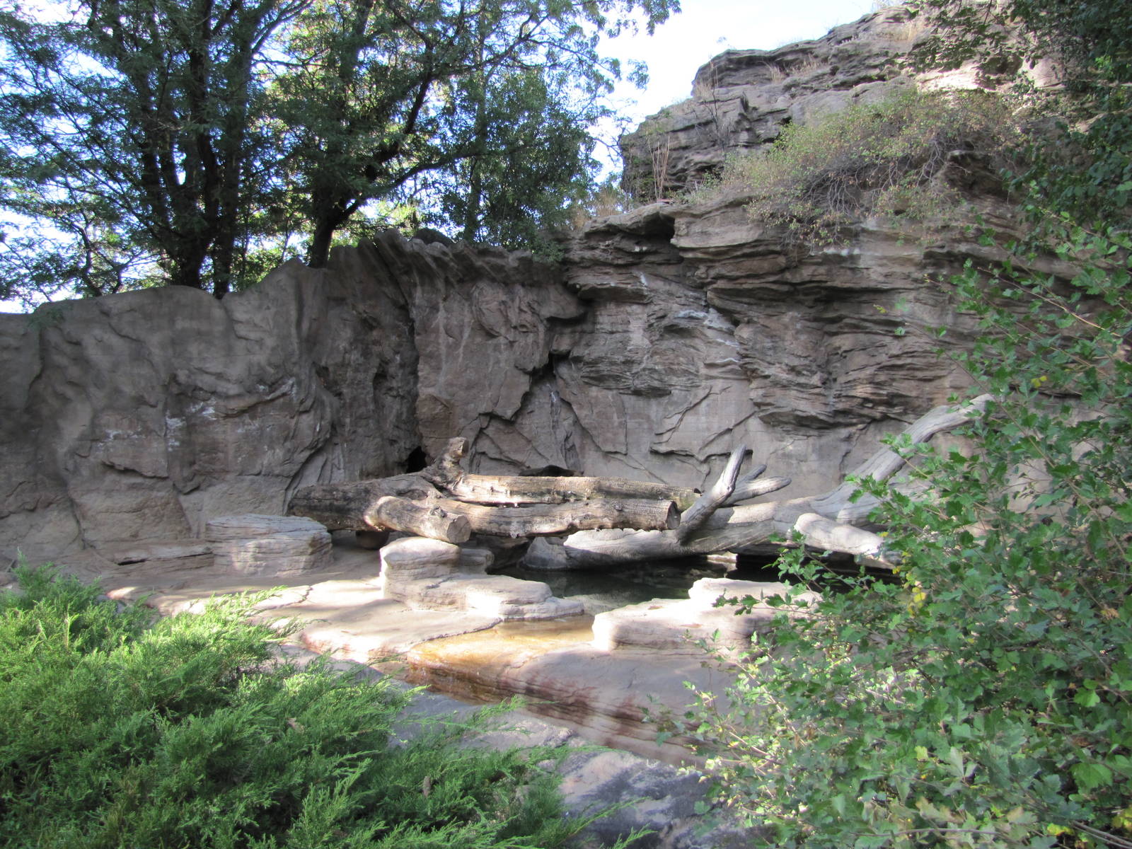 Denver Zoo 2010 - Historic Bear Mountain exhibit