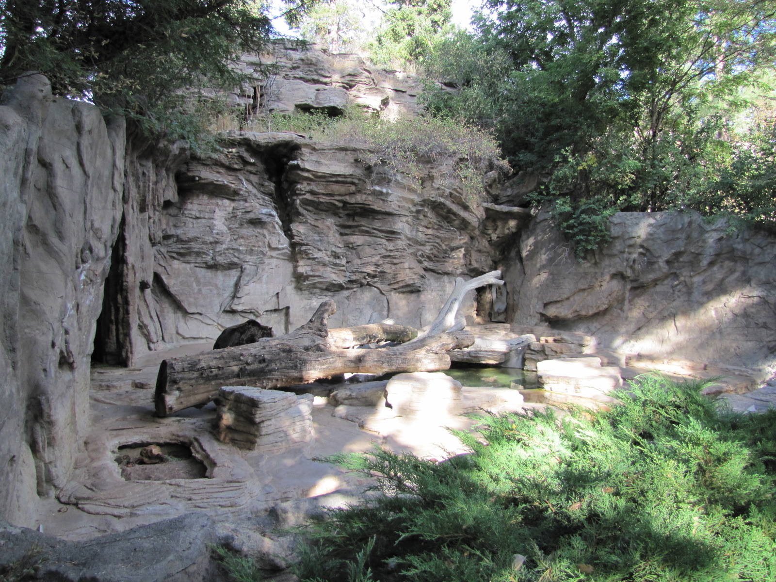 Denver Zoo 2010 - Historic Bear Mountain exhibit
