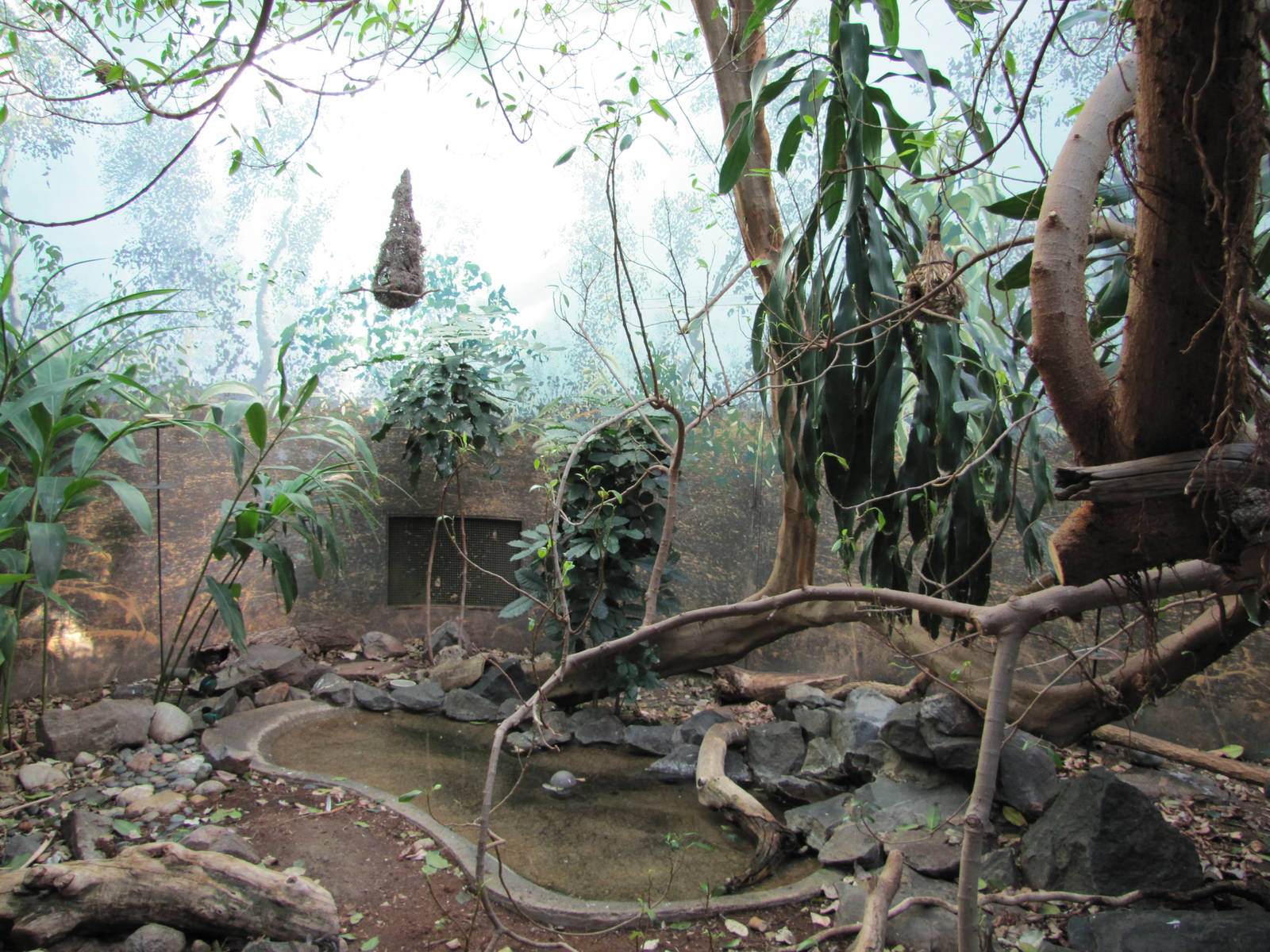 Denver Zoo 2010 - Indoor exhibit in Bird World