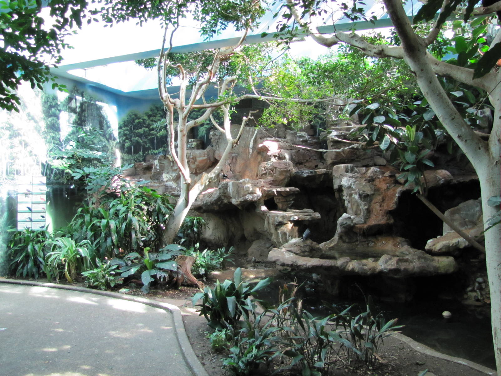 Denver Zoo 2010 - Indoor exhibit in Bird World