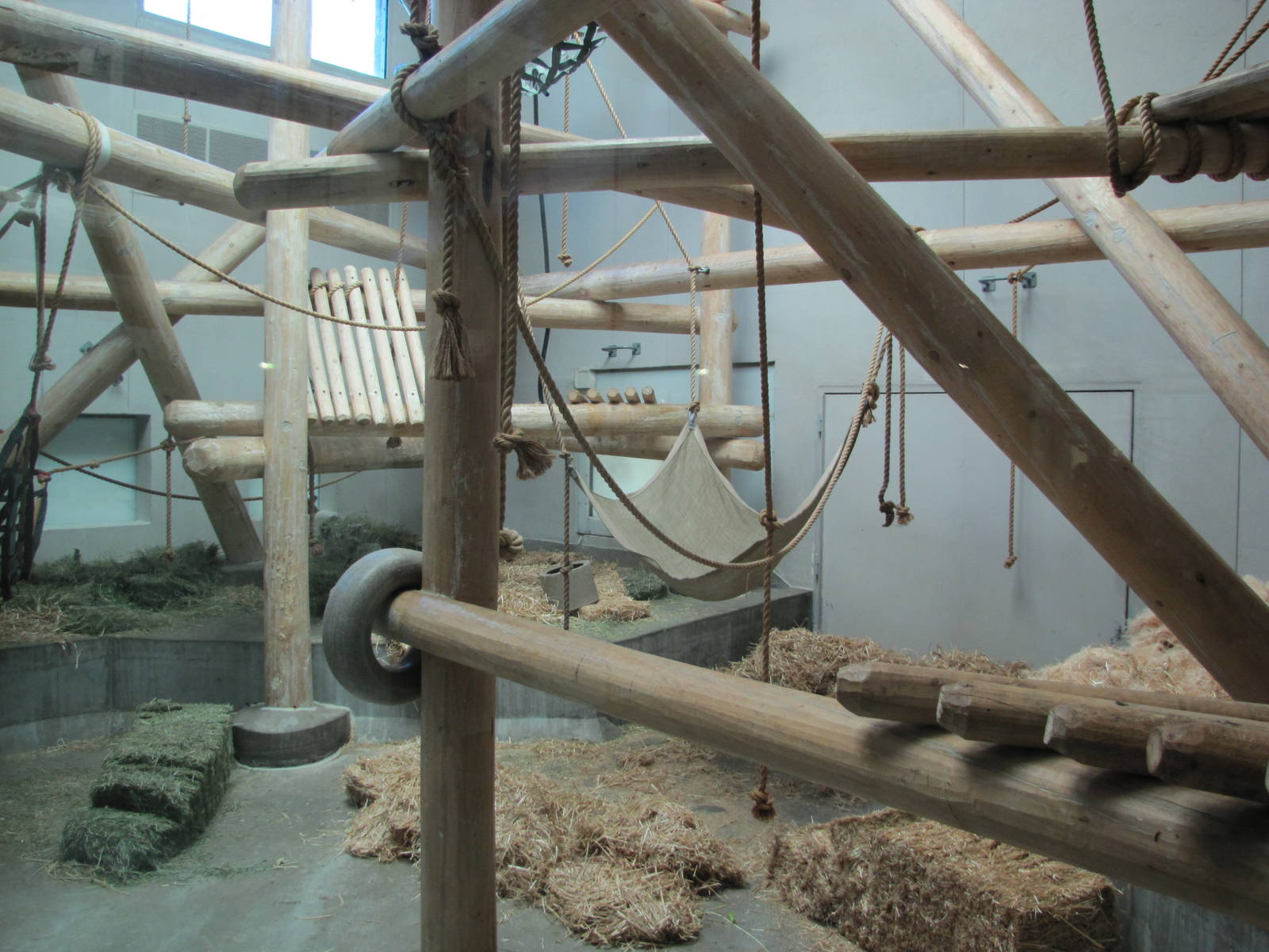 Denver Zoo 2010 - Indoor exhibit in Primate Panorama