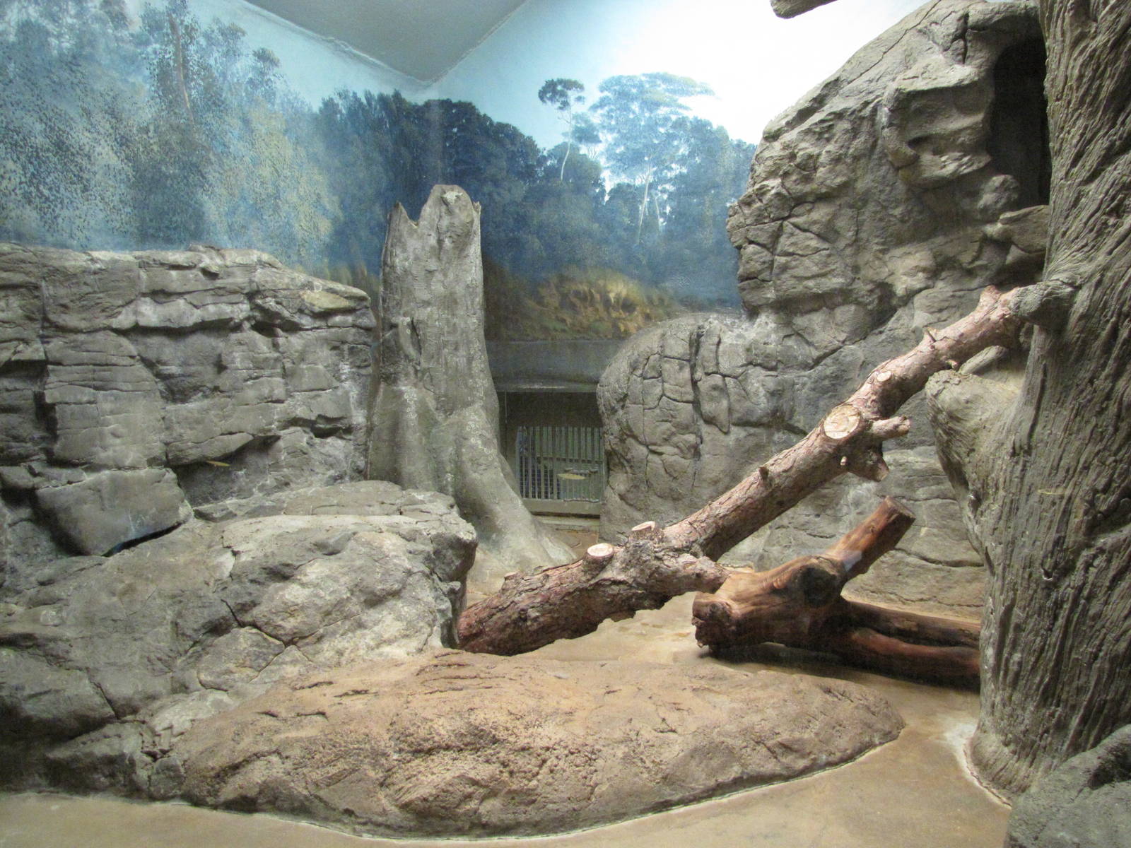 Denver Zoo 2010 - Indoor exhibit in the Feline House