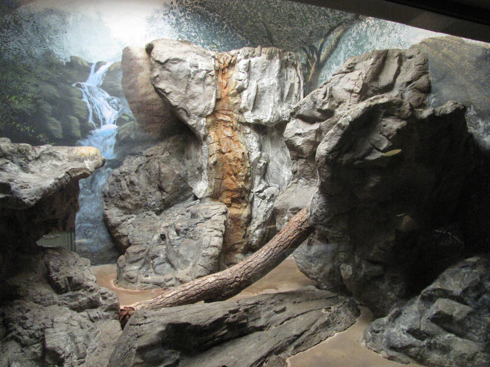 Denver Zoo 2010 - Indoor exhibit in the Feline House