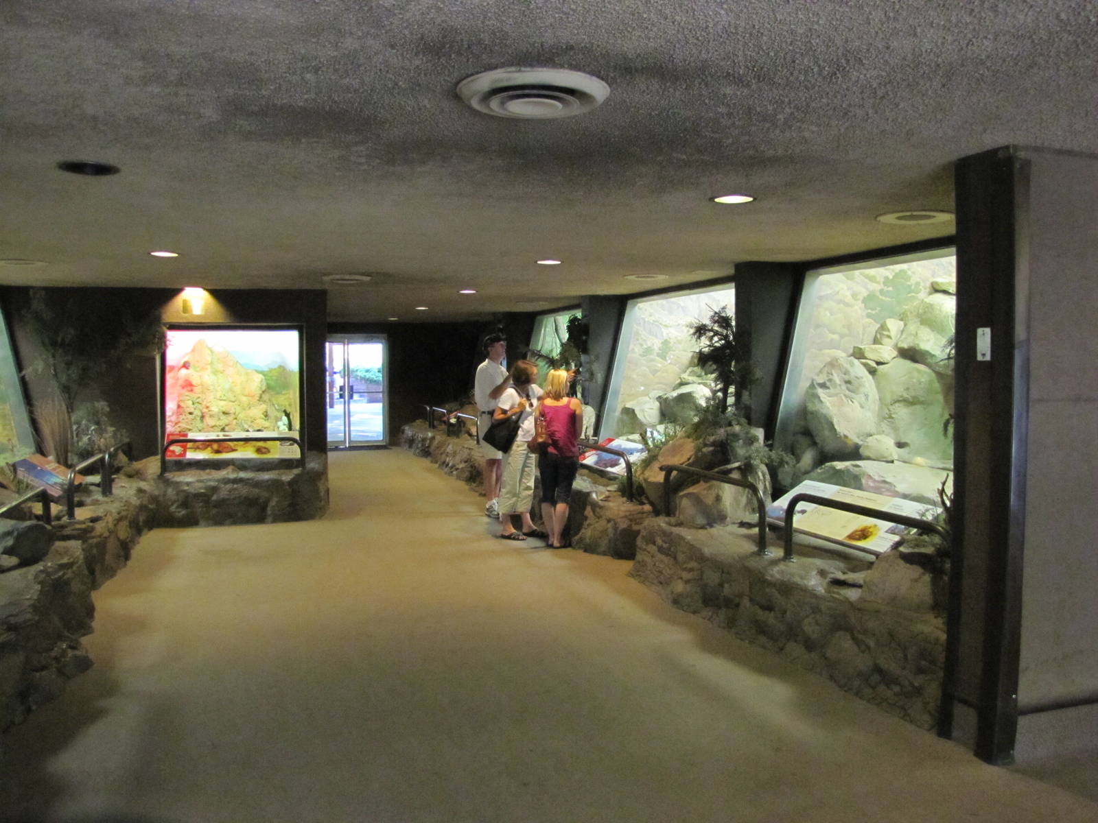 Denver Zoo 2010 - Inside the Feline House