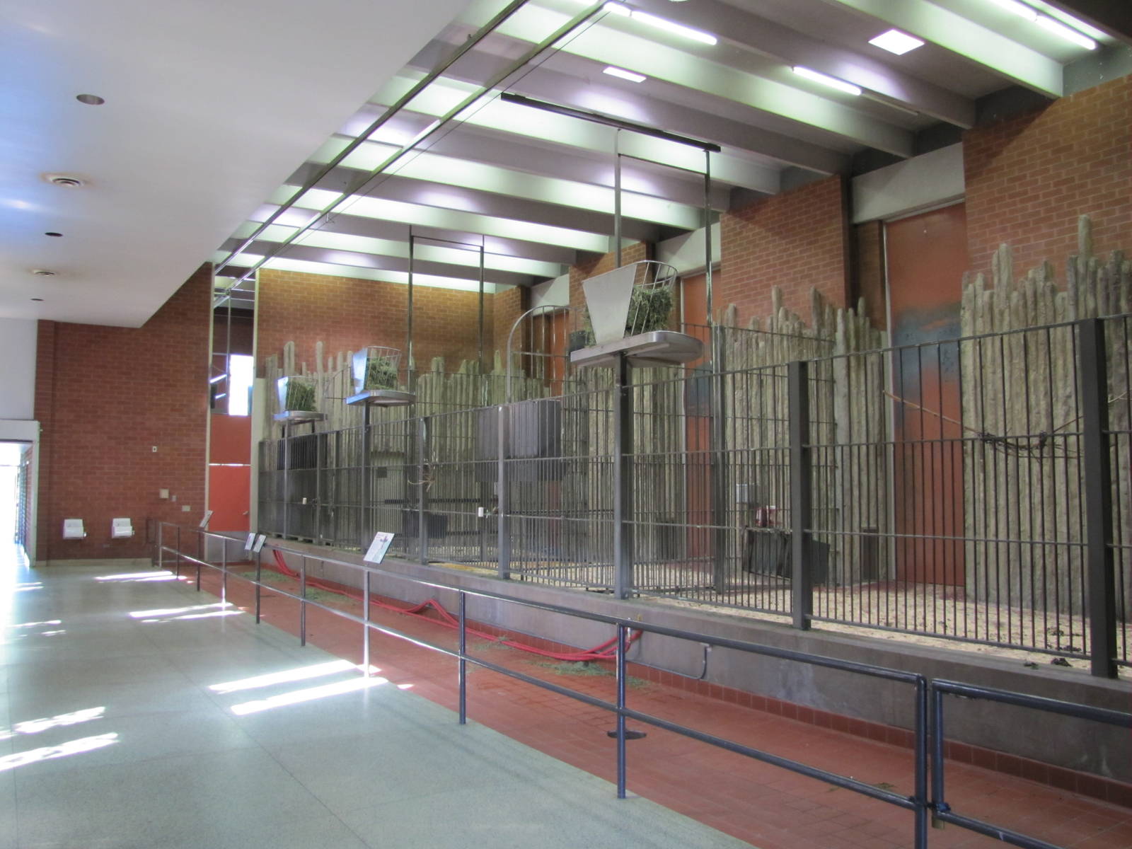 Denver Zoo 2010 - Inside the Giraffe building