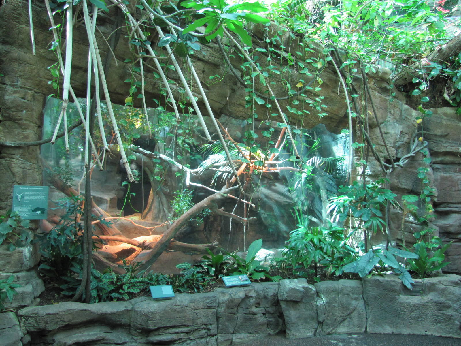 Denver Zoo 2010 - Inside Tropical Discovery