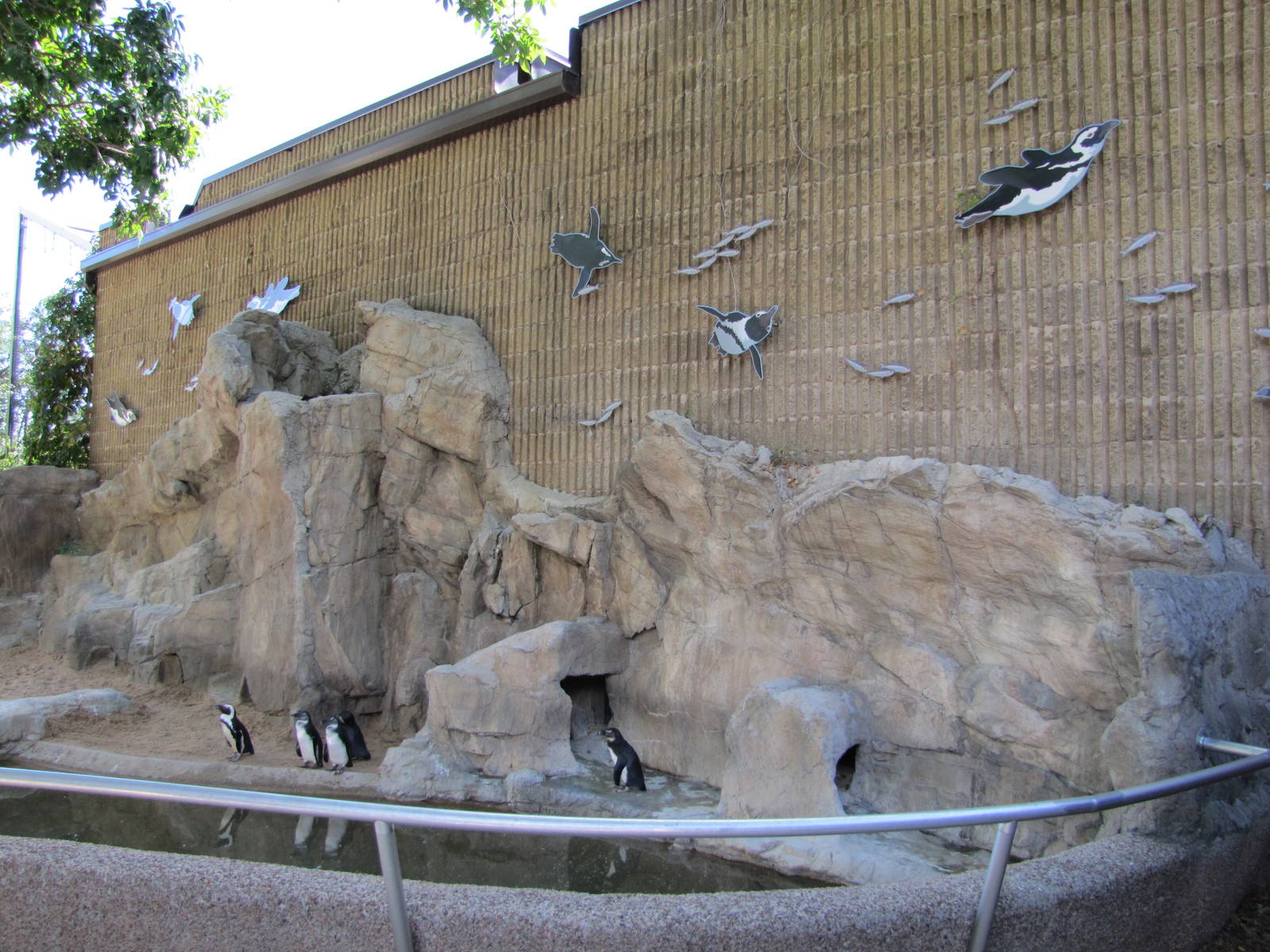 Denver Zoo 2010 - Jackass Penguin exhibit outside Bird World