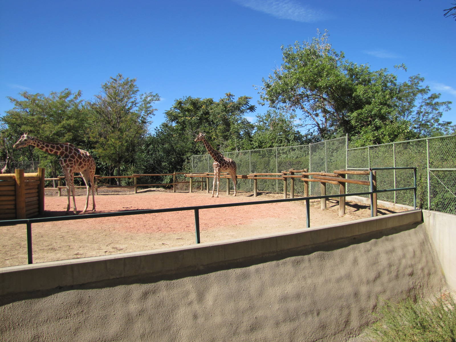 Denver Zoo 2010 - Left of the Giraffe exhibit