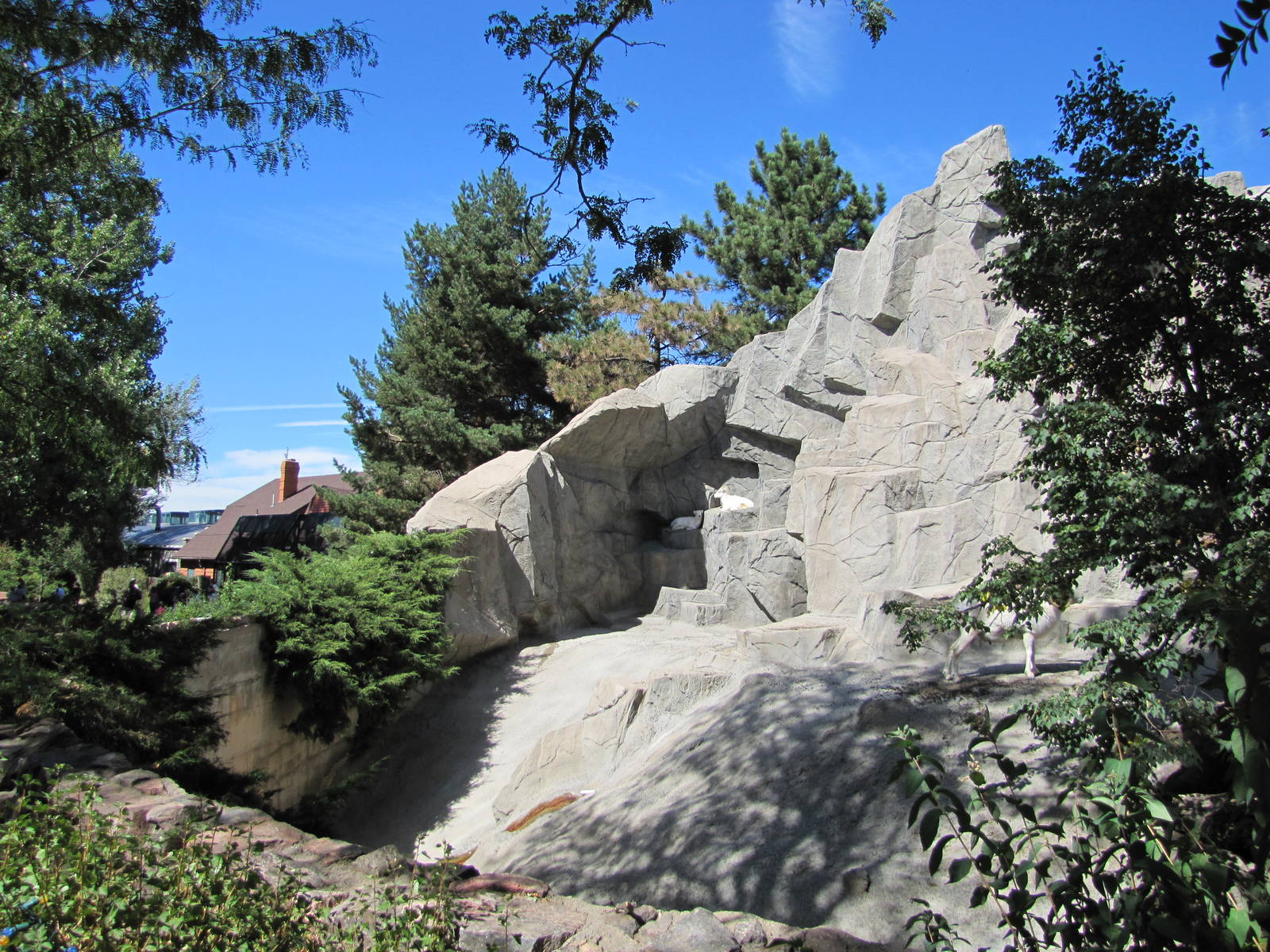Denver Zoo 2010 - Left side of the Dalls Sheep exhibit