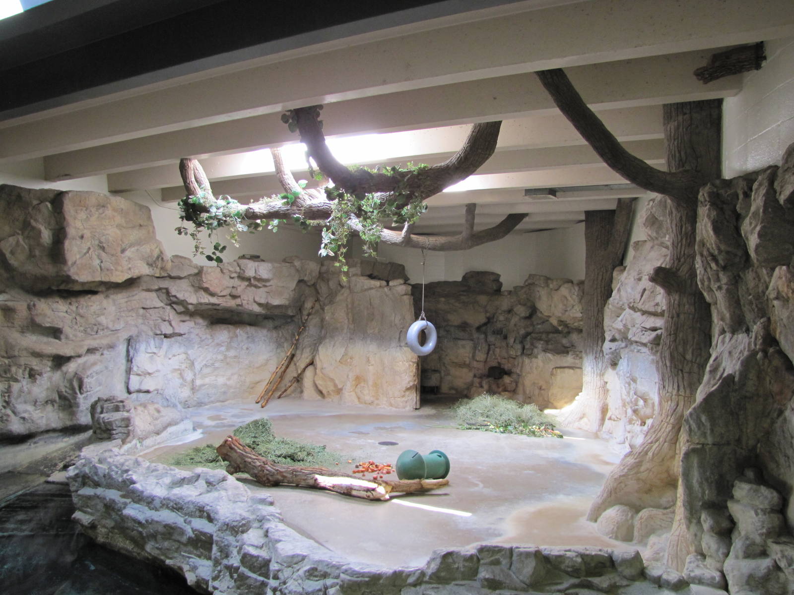 Denver Zoo 2010 - Malayan Tapir indoor exhibit in Pachyderm Habitat