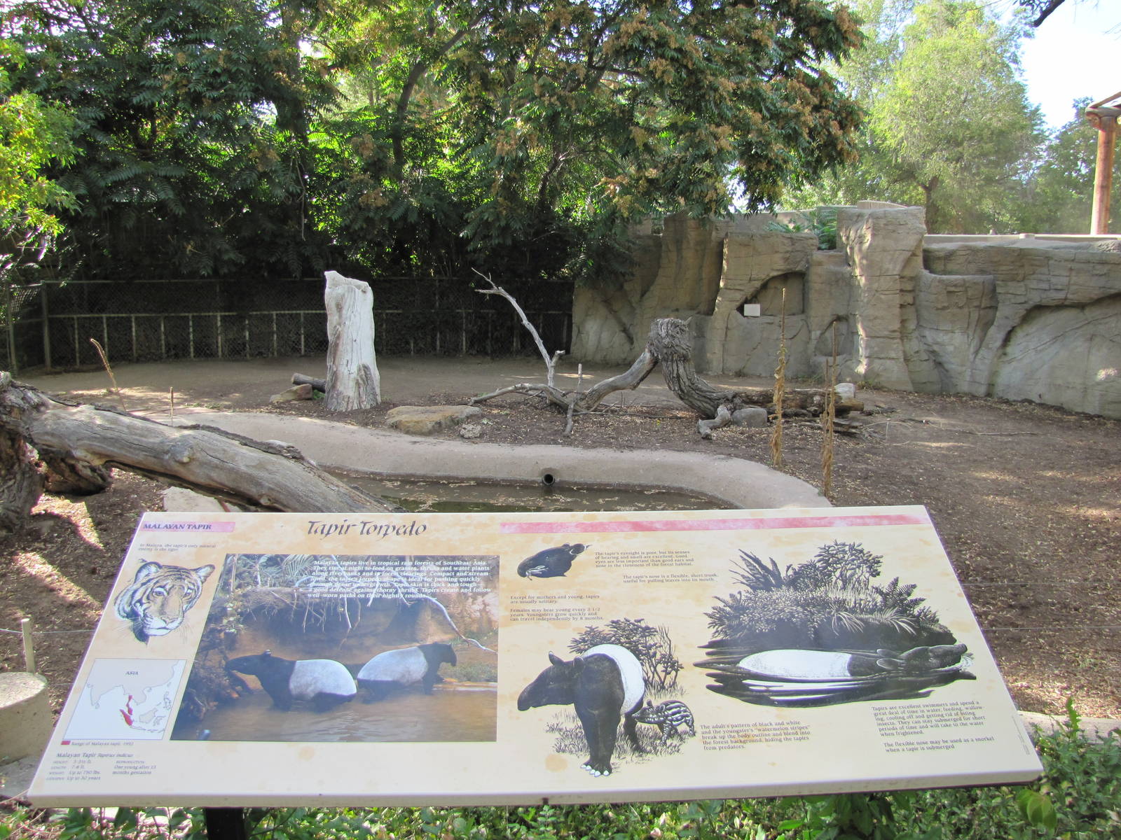 Denver Zoo 2010 - Malayan Tapir outdoor exhibit in Pachyderm Habitat