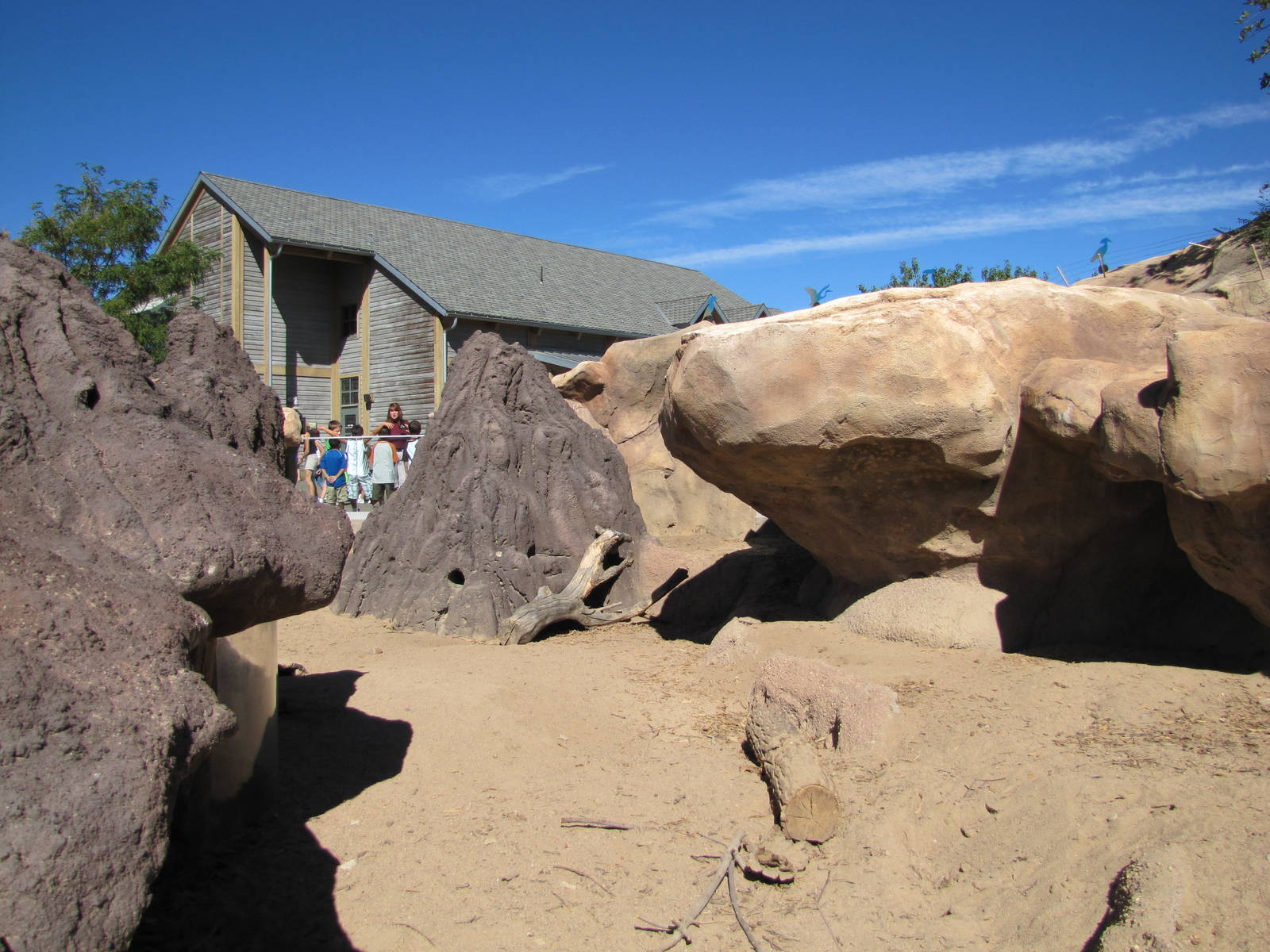 Denver Zoo 2010 - Mixed exhibit for Banded Mongoose and African Crested Por