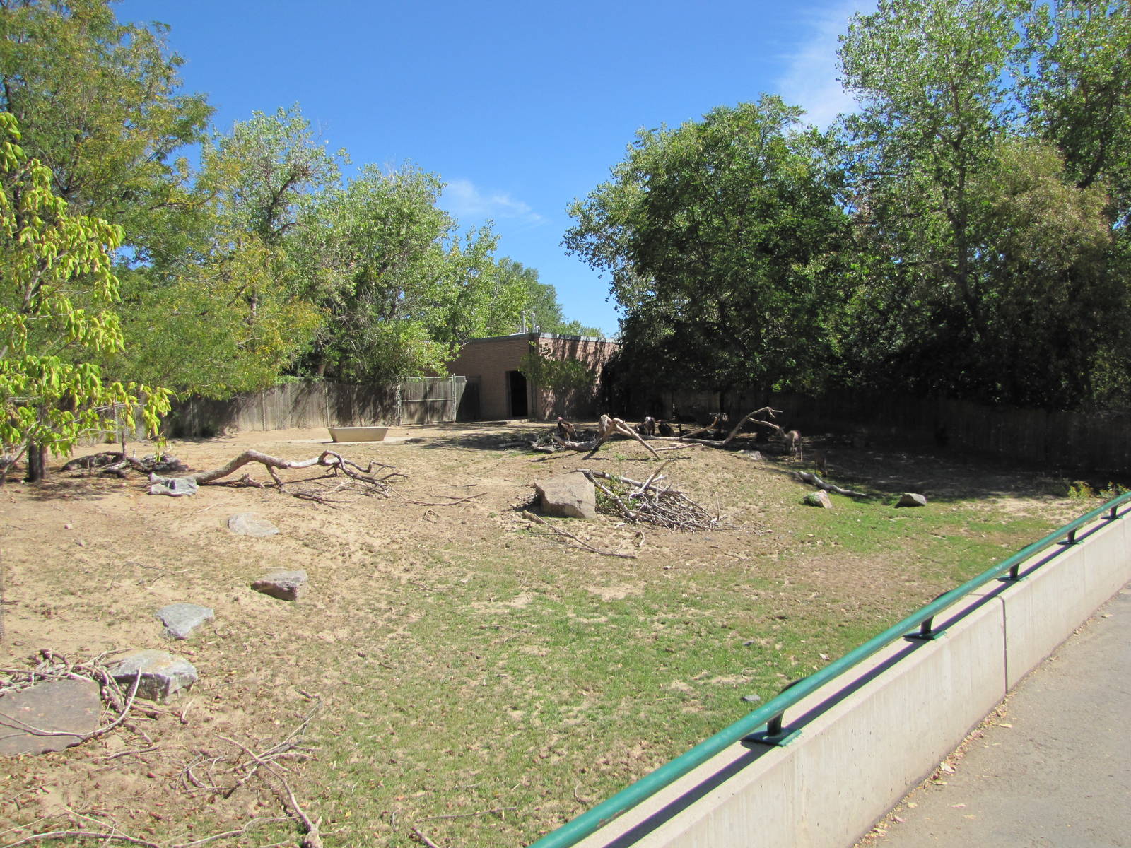 Denver Zoo 2010 - Mixed exhibit for Lappet-faced Vulture and Lesser Kudu