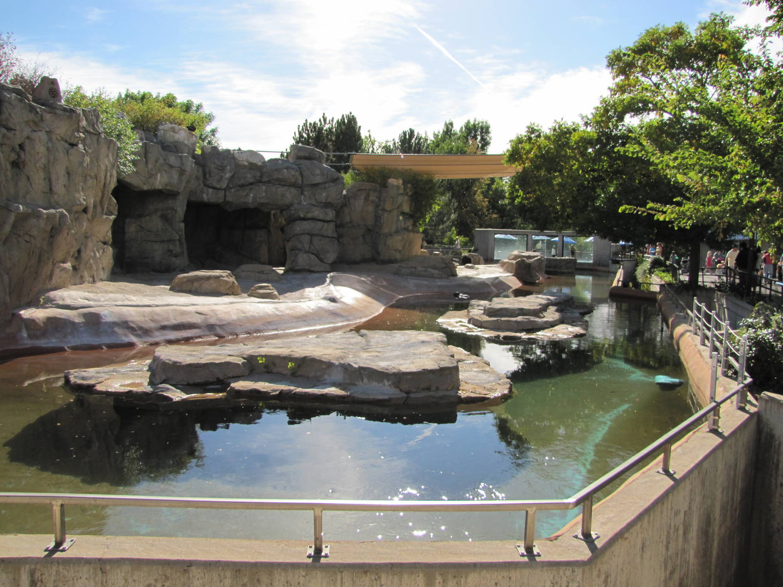 Denver Zoo 2010 - Mixed Pinniped Pool