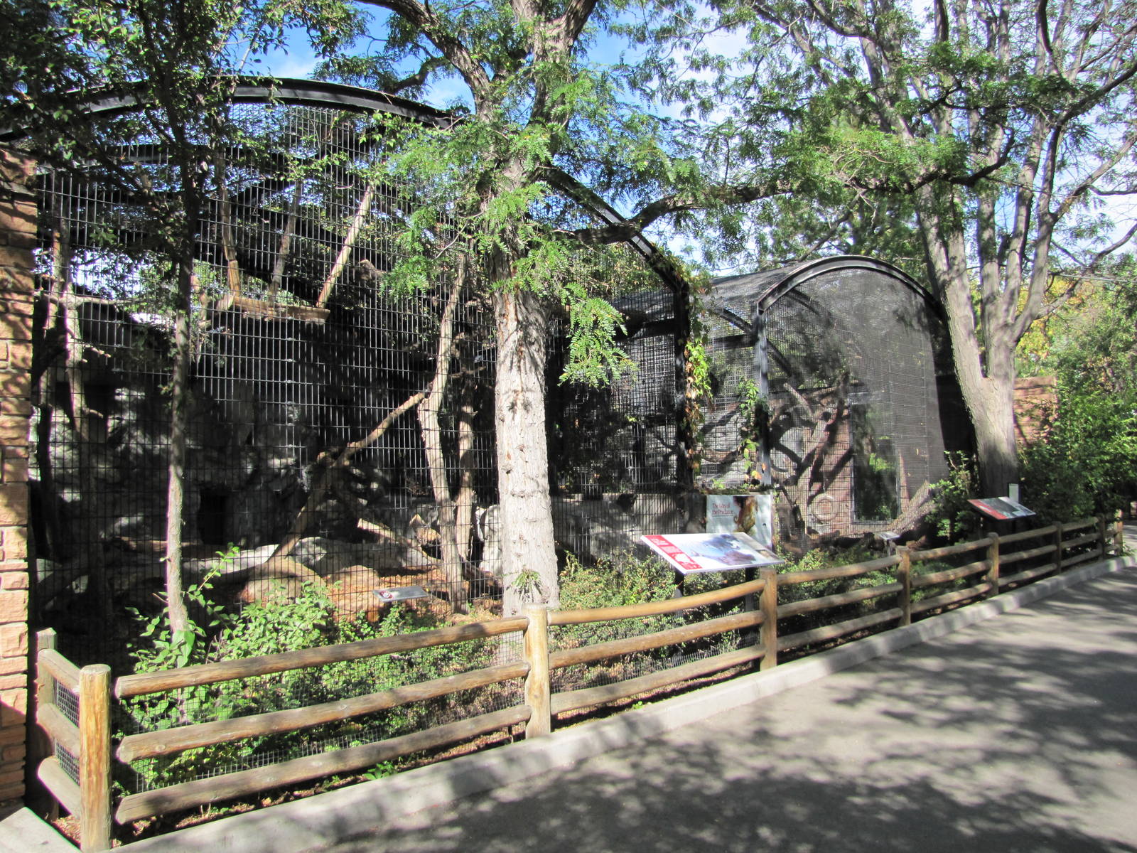 Denver Zoo 2010 - Outdoor cages at the Feline House