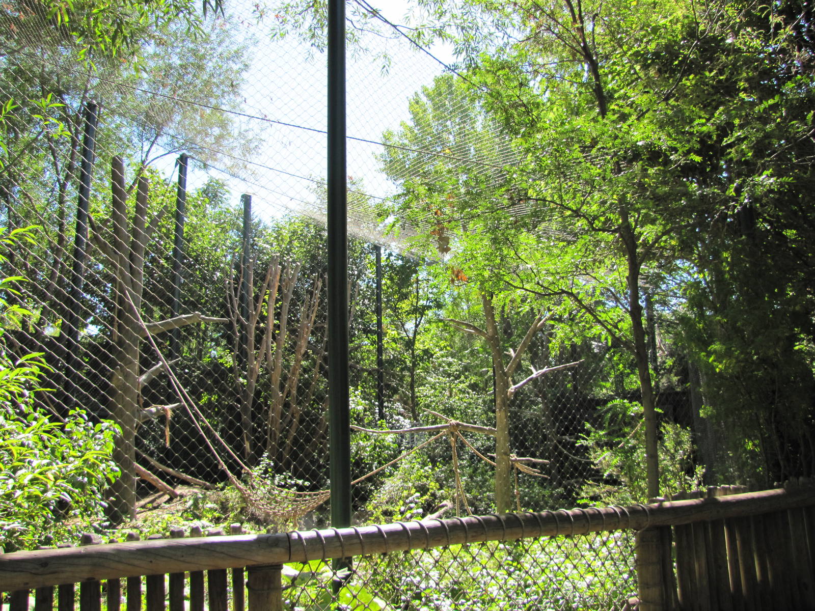 Denver Zoo 2010 - Outdoor exhibit in Primate Panorama
