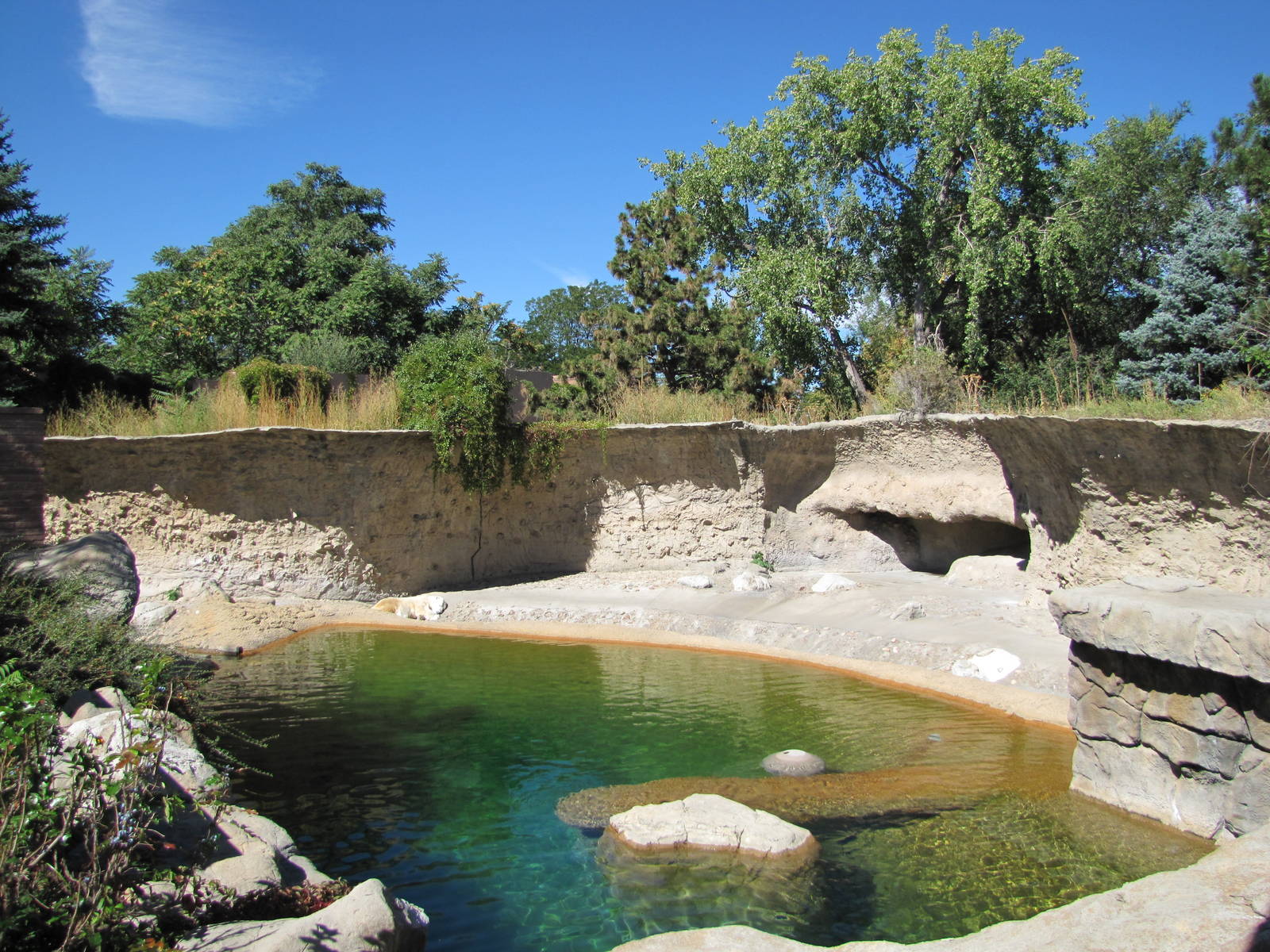 Denver Zoo 2010 - Polar Bear exhibit towards the left