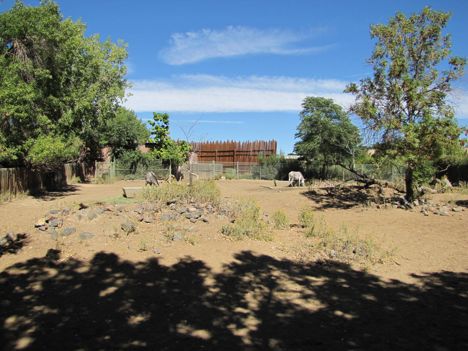 Denver Zoo 2010 - Second Grevy Zebra exhibit