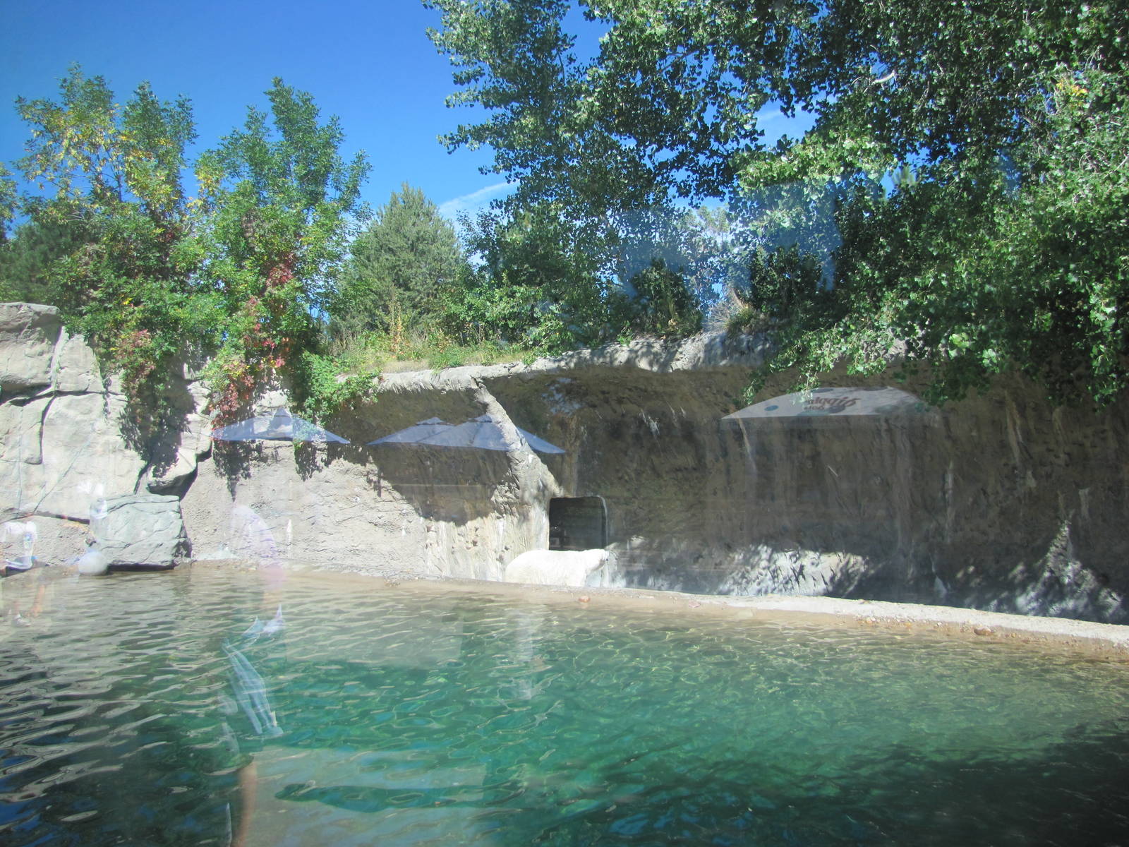 Denver Zoo 2010 - Second Polar Bear exhibit