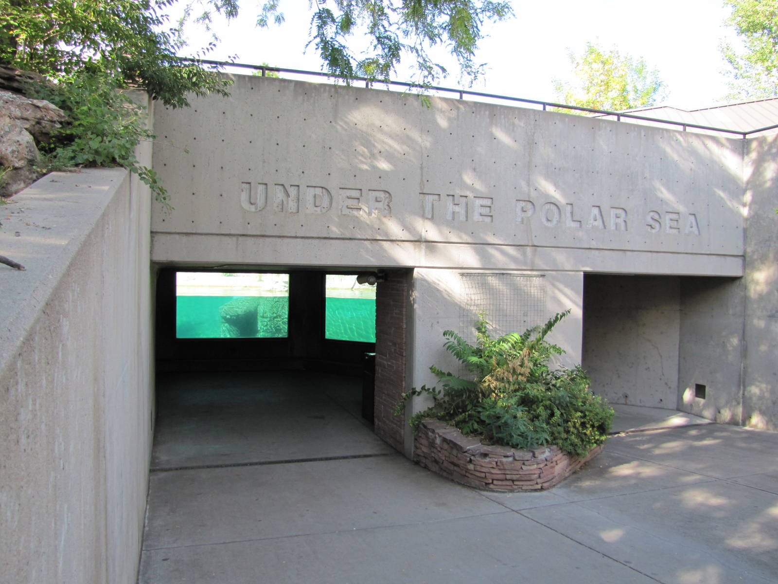Denver Zoo 2010 - Underwater view of Polar Bear exhibit