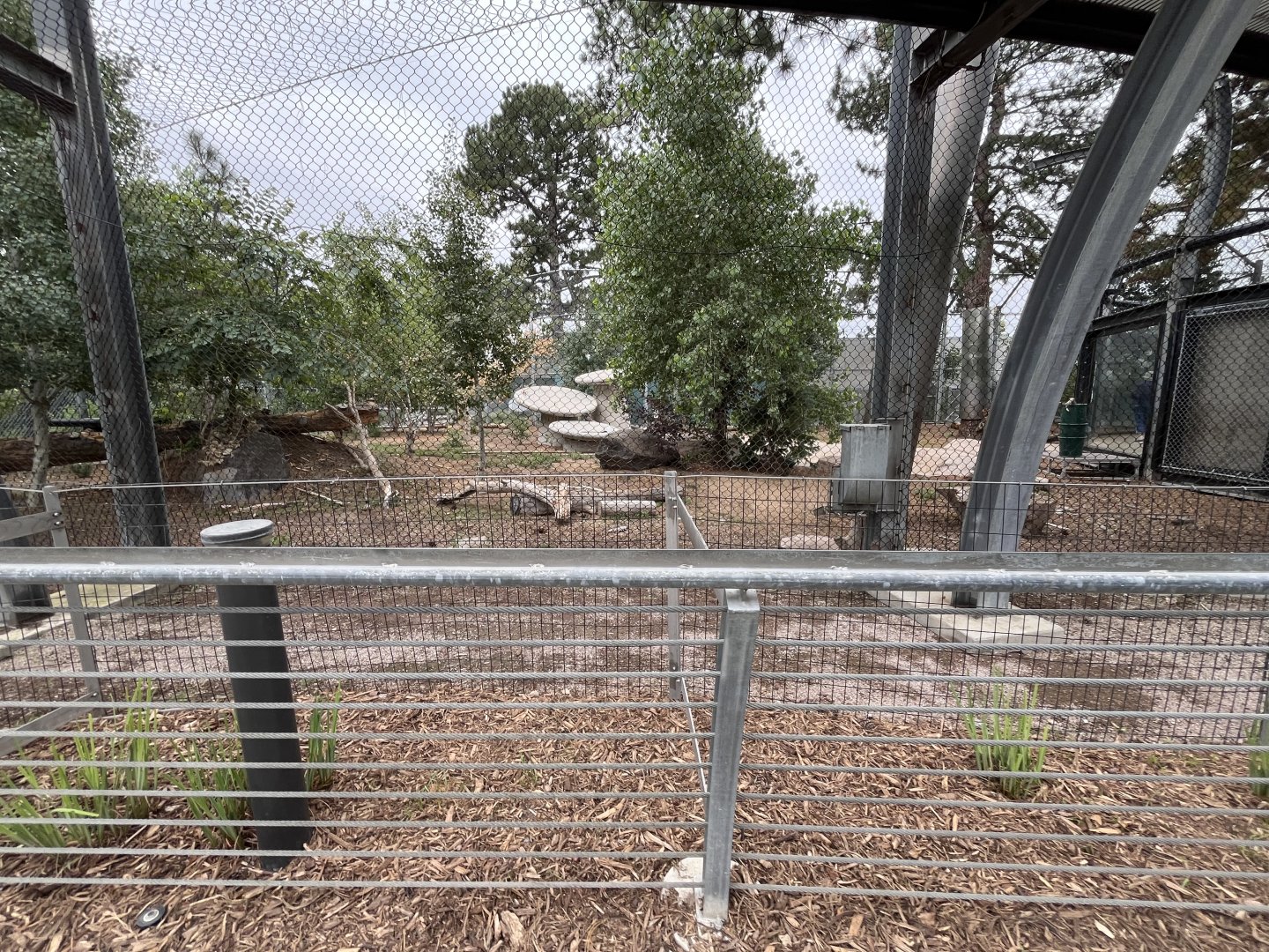 Denver Zoo Tiger Enclosure