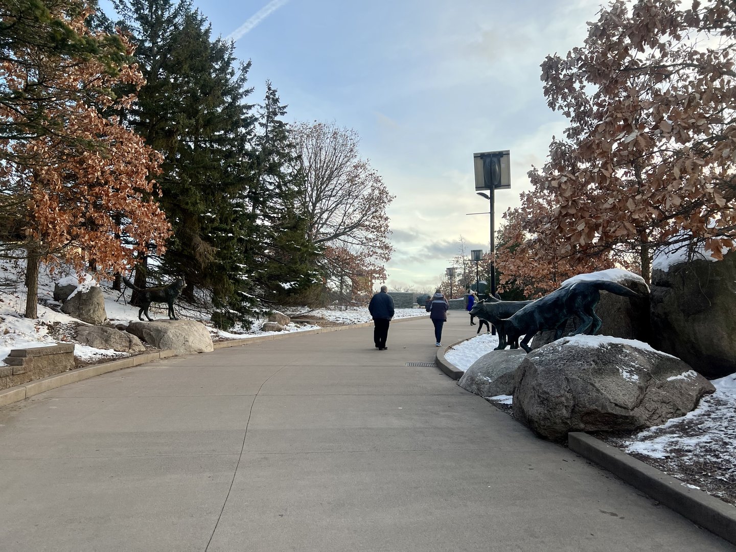 Departing the Minnesota Zoo