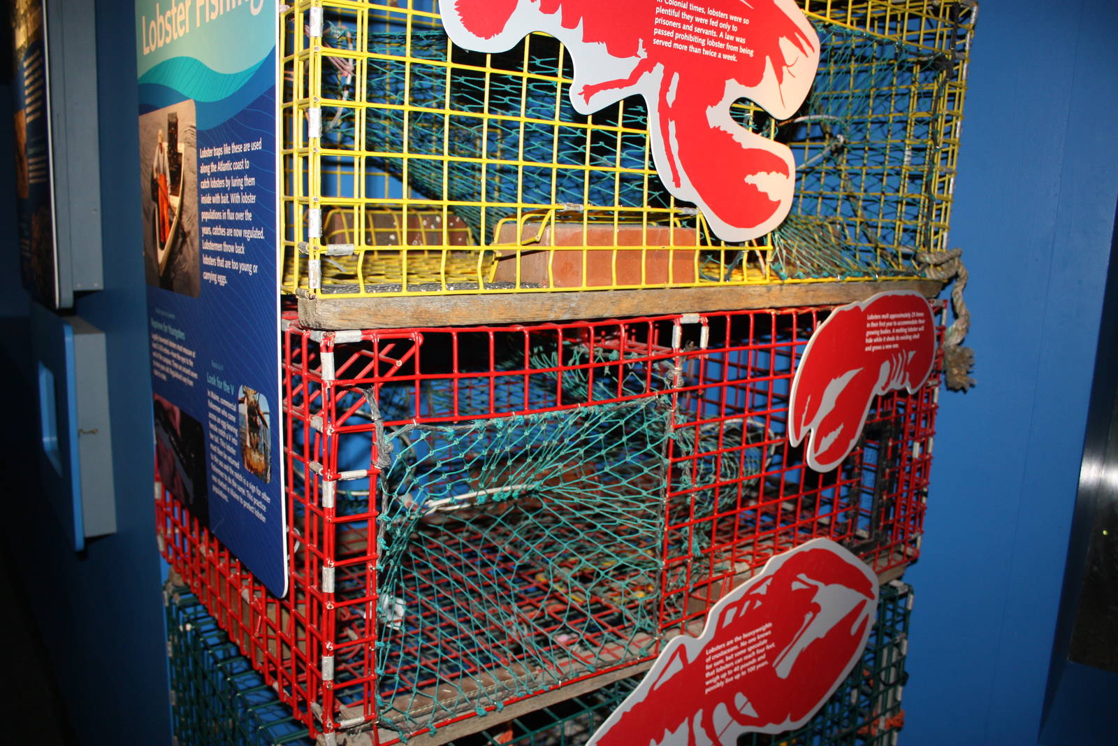 Depths of the Sound- Lobster Traps