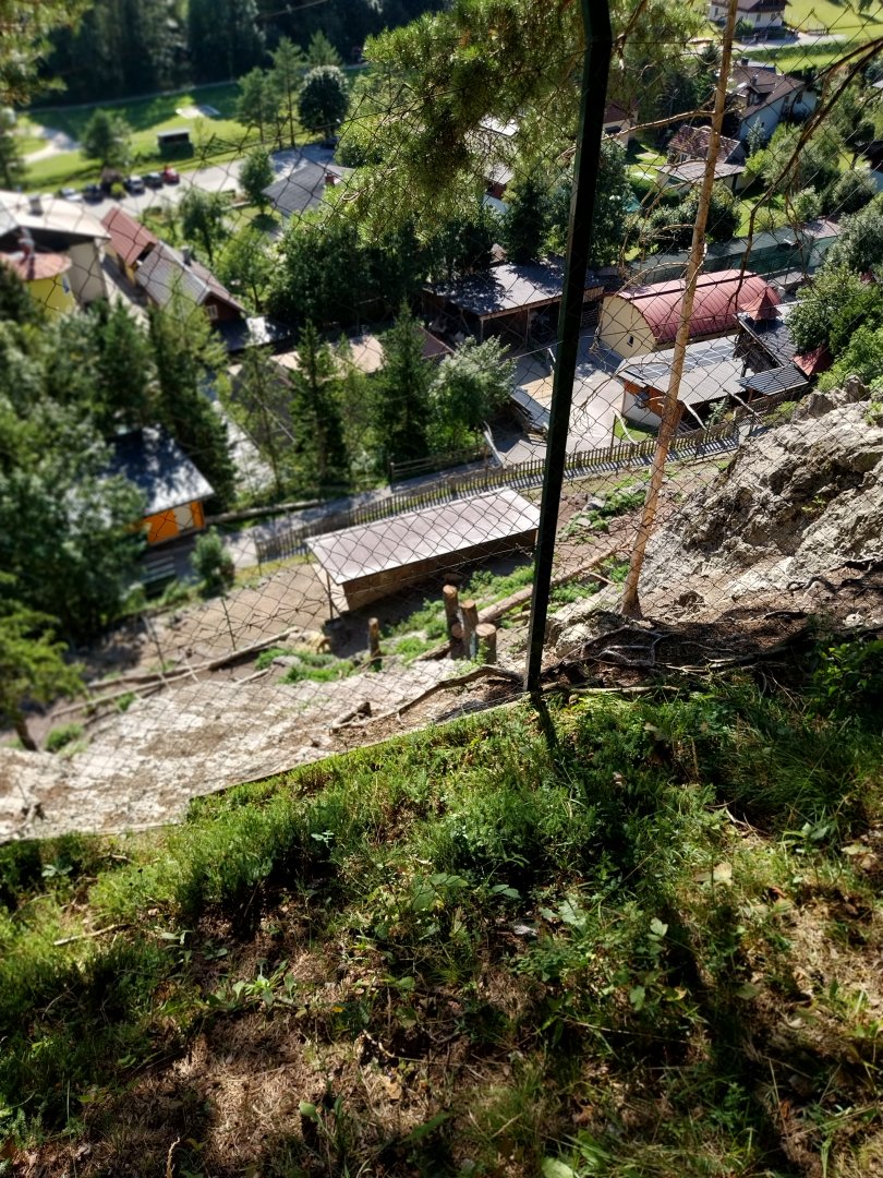 Der Weisser Zoo & Kameltheater Kernhof - Alpine ibex enclosure & Tiger holding