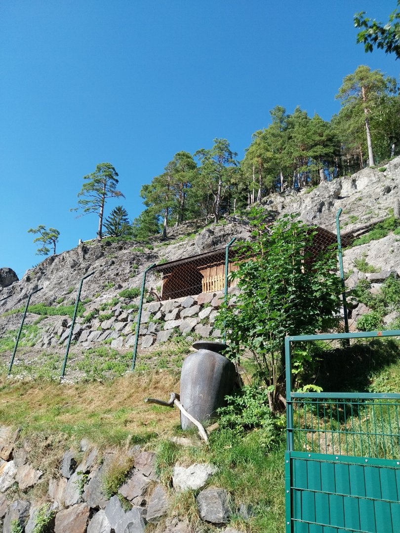 Der Weisser Zoo & Kameltheater Kernhof - Alpine ibex enclosure