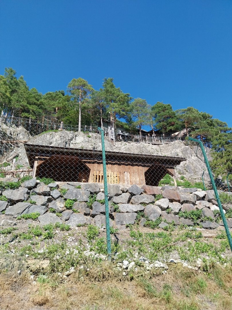 Der Weisser Zoo & Kameltheater Kernhof - Alpine ibex enclosure