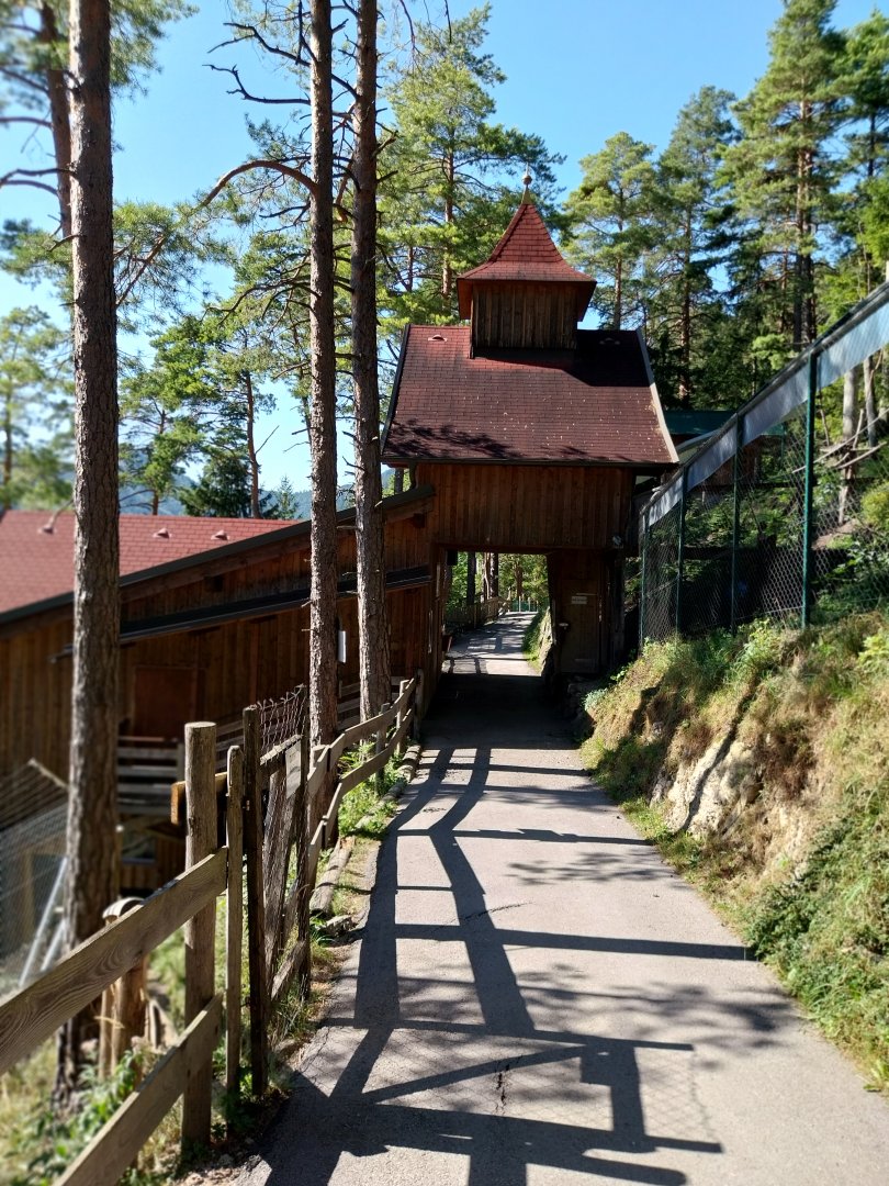 Der Weisser Zoo & Kameltheater Kernhof - Bärentheater