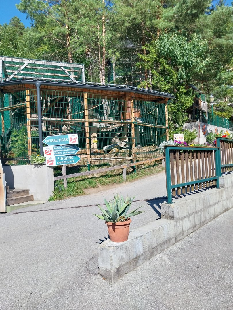 Der Weisser Zoo & Kameltheater Kernhof - Black and white ruffed lemur enclosure